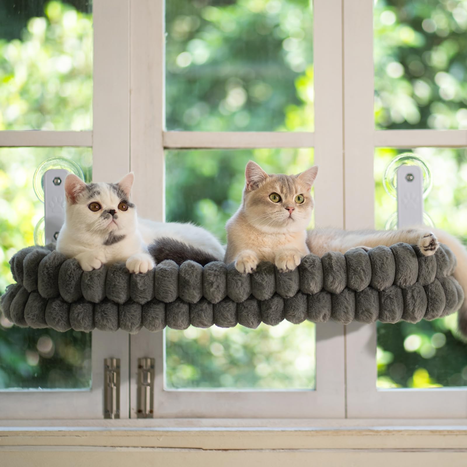 CheerPals Katzen Fensterliege, Weich Abnehmbarem Wendebezug Hängematte, Faltbare Katzenliege, Fenster Katzenbett mit Stabiles Stahlgestell und Saugnäpfe, Halt bis 18kg