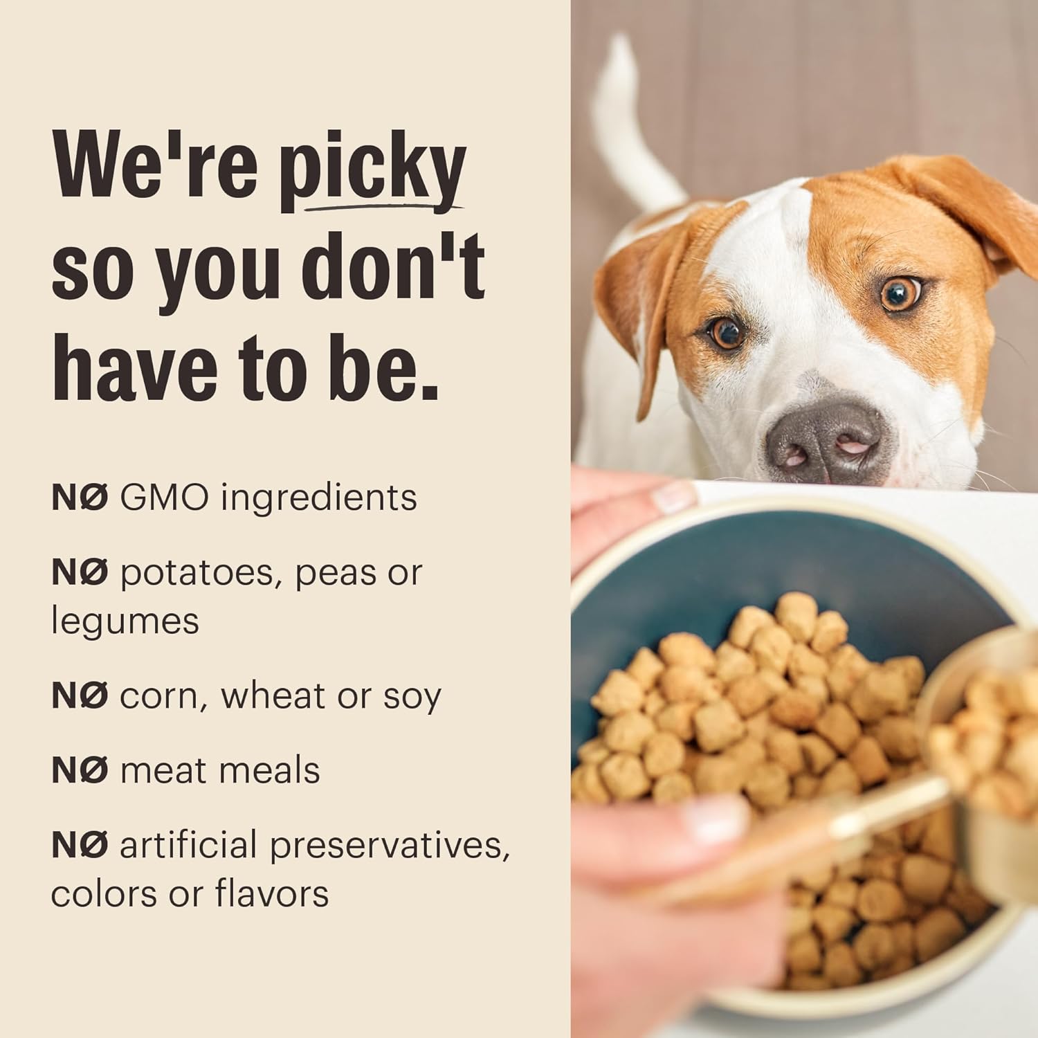 The Honest Kitchen Whole Food Clusters Whole Grain Chicken & Oat Dry Dog Food, 5 lb Bag