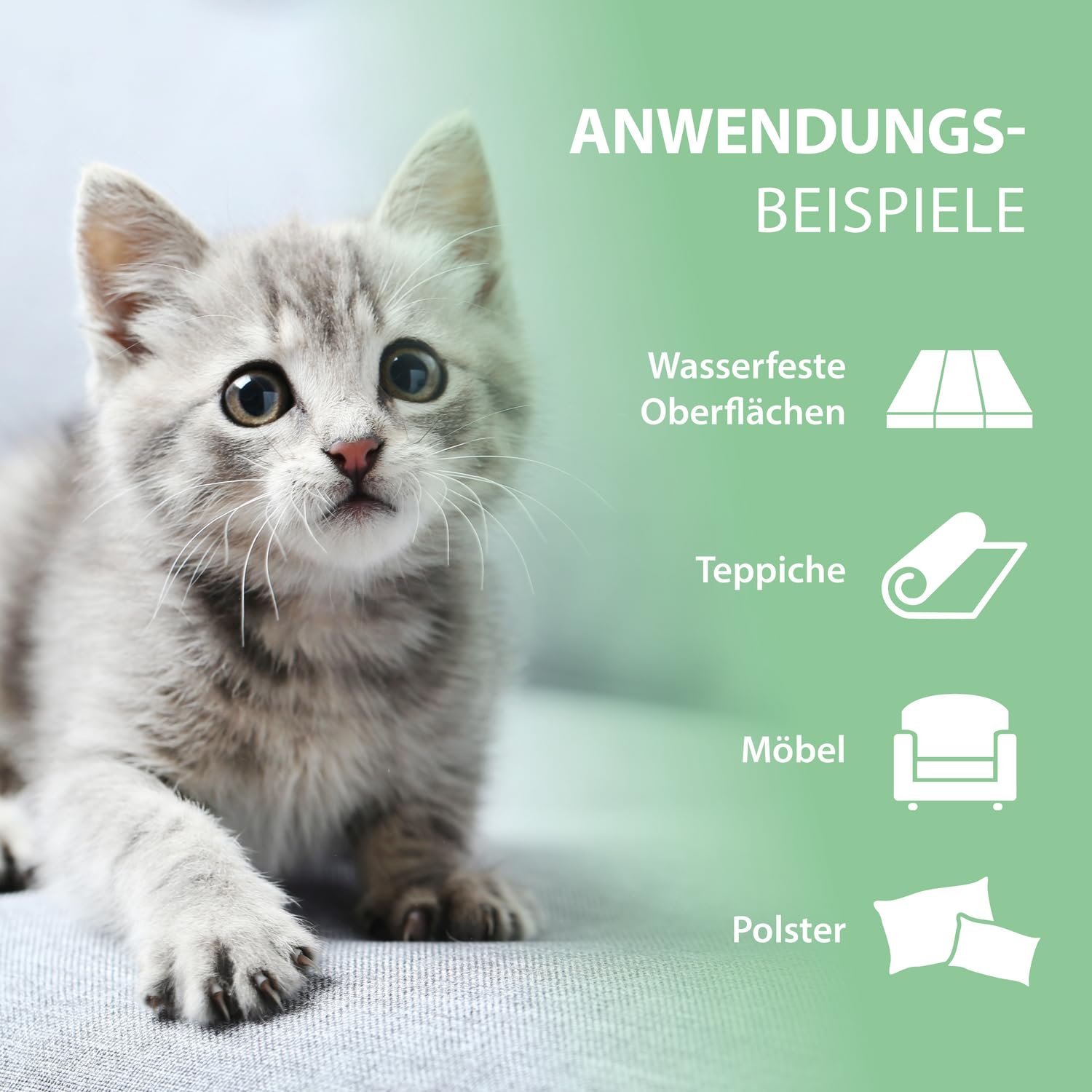 Enzymreiniger Katzenurin 750 ml – extrem stark gegen Katzenpipi, Uringeruch & Flecken – biologisch, tierfreundlich und für Sofa, Teppich, Textilien, Auto & Katzenklo – Pipi-Weg