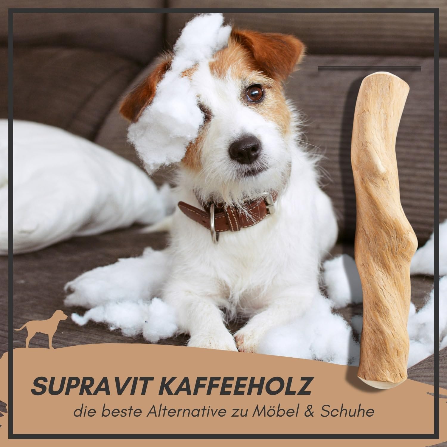 Supravit Natürlicher Kauknochen aus Kaffeeholz für Welpen XS | Mehr als EIN Holzstäbchen - spannendes Welpen Kauspielzeug & langanhaltende Beschäftigung | Kaustab Kauholz