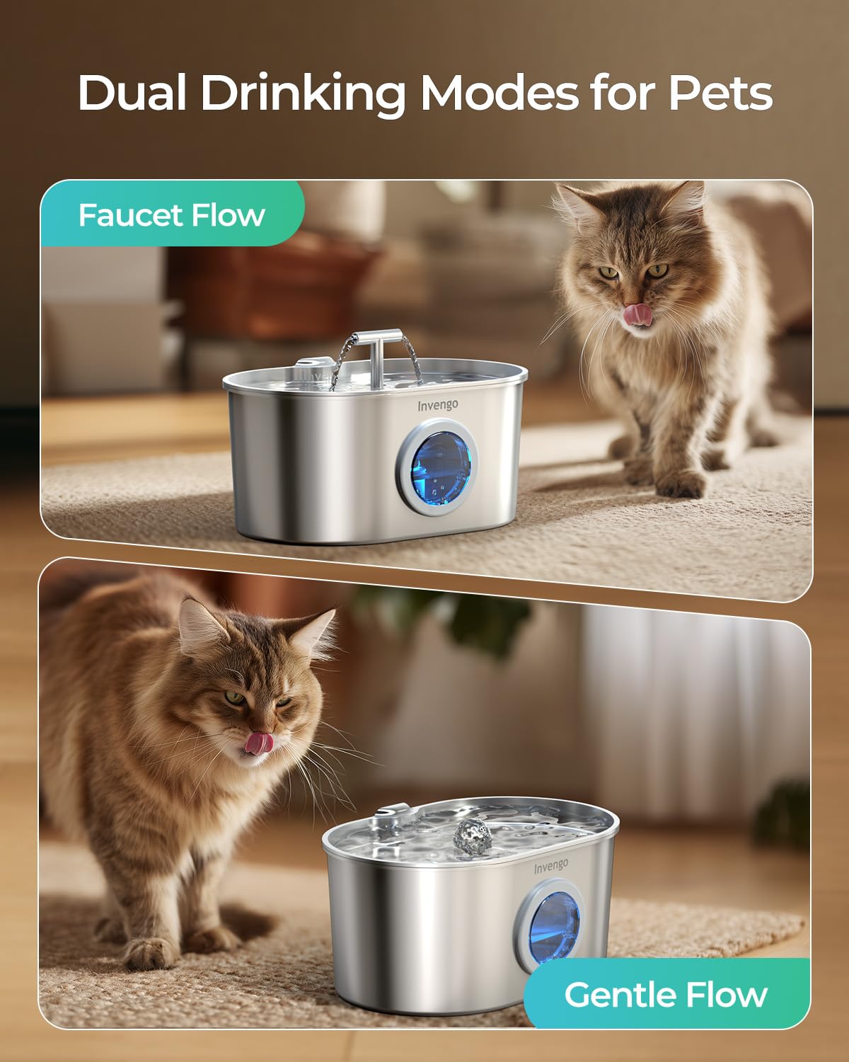 Invengo MeowFlow B30 Trinkbrunnen für Katzen, 2,2L Edelstahl-Haustierbrunnen mit sichtbarem Wasserfenster, einfach zu reinigen und installieren, inkl. 4 Ersatzfilter, spritzwassergeschütztes Design