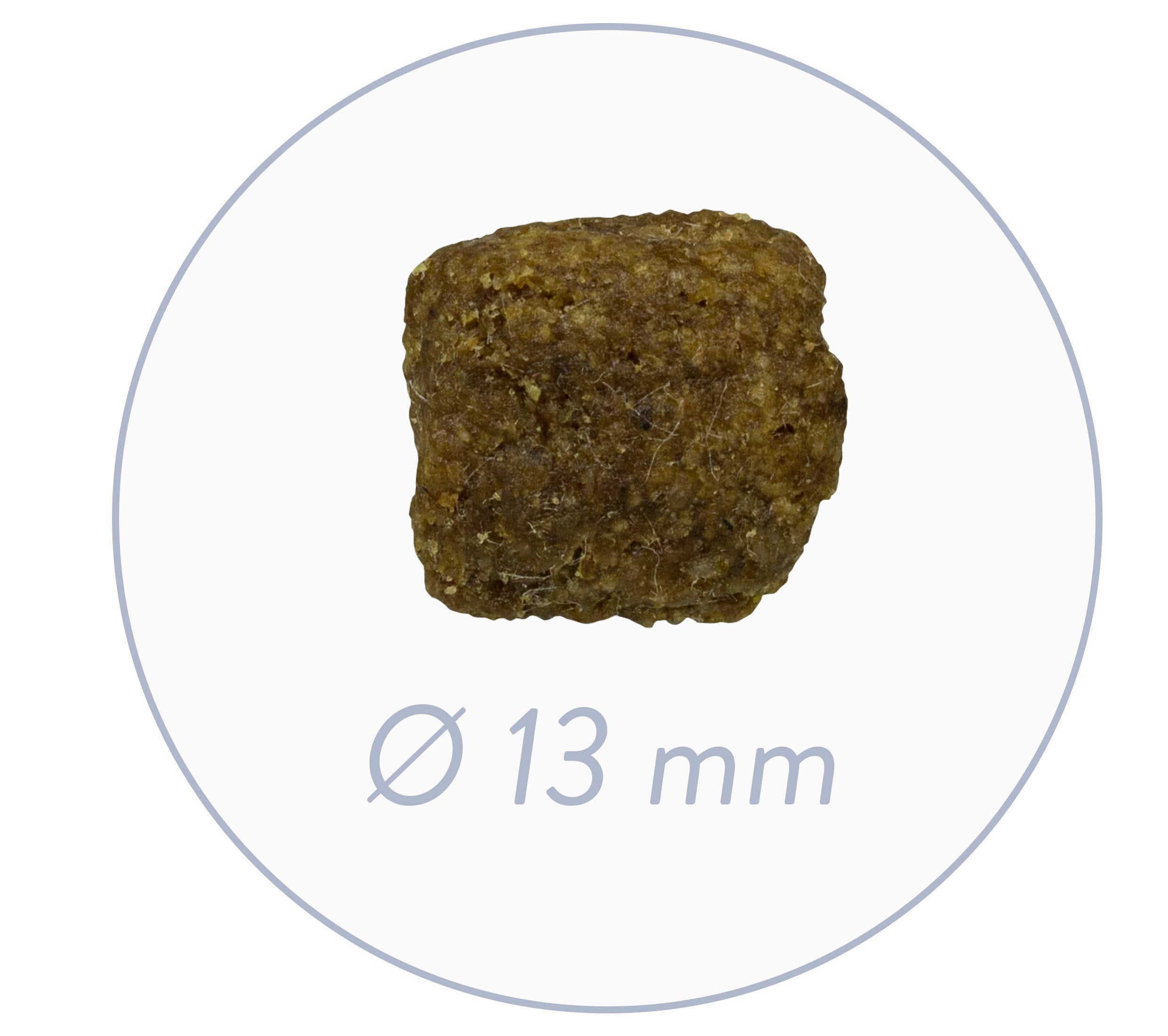 bosch HPC Adult mit frischem Geflügel & Hirse | Hundetrockenfutter für ausgewachsene Hunde aller Rassen | 1 x 15 kg