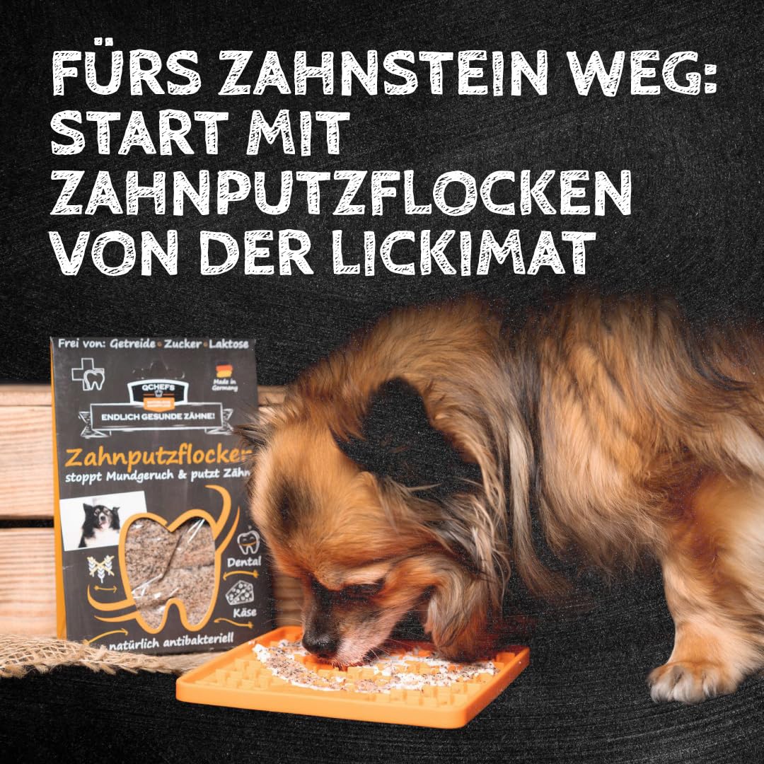 QCHEFS 2er Pack Großpackung Papie Zahnputzflocken für große Hunde - Zahnpflege Hund, ohne Dentalspray für Hunde, Zahnsteinentferner & Mundgeruch Kontrolle, Ideal für Hunde von der Schleckmatte