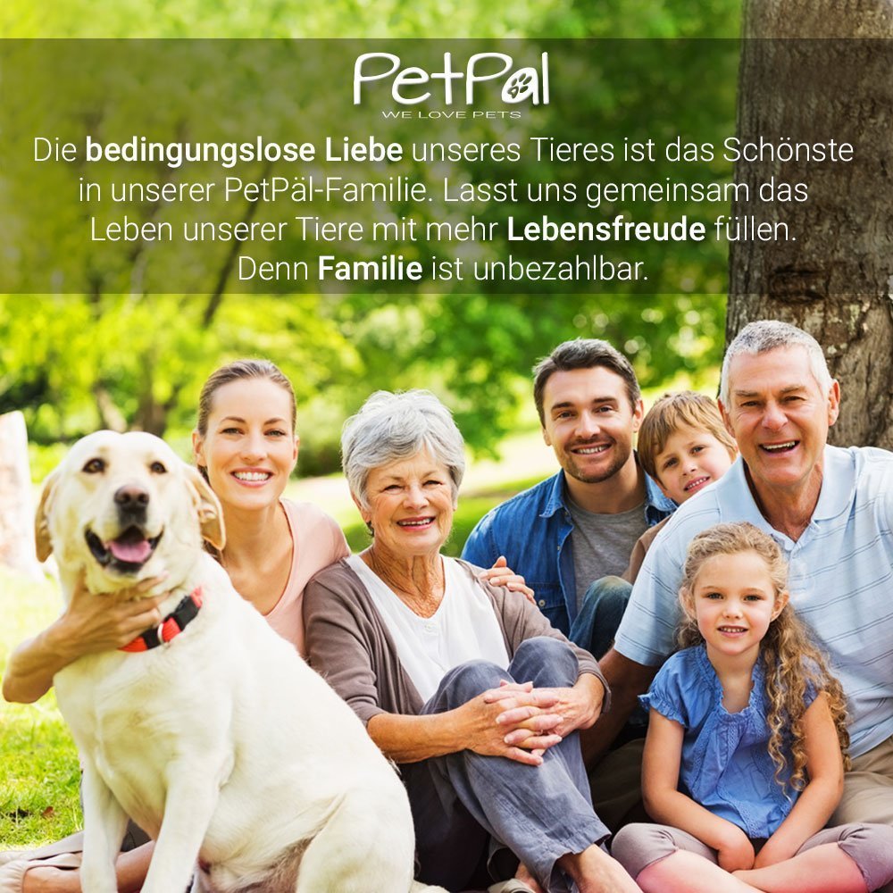 PetPäl Profi Krallenschere für Hunde & Katzen in Tiersalon Qualität - Krallenschneider, Krallenpflege für daheim - Klauen Pflege einfach & sicher für Zuhause durch den Abstandshalter - Safety Guard