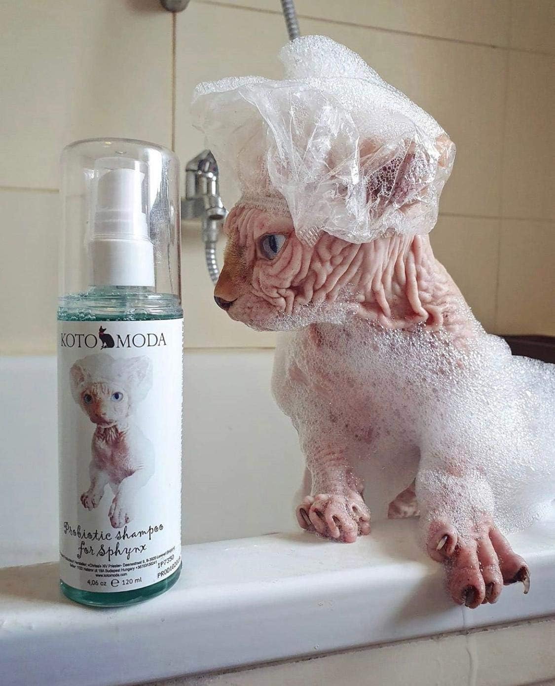Probiotisches Shampoo für Sphynx-Katzen, sanfter parfümfreier Reiniger für haarlose und kurzhaarige Rassen, pH-balancierte Pflegeformel für empfindliche Haut, 120 ml / 4,06 FL oz