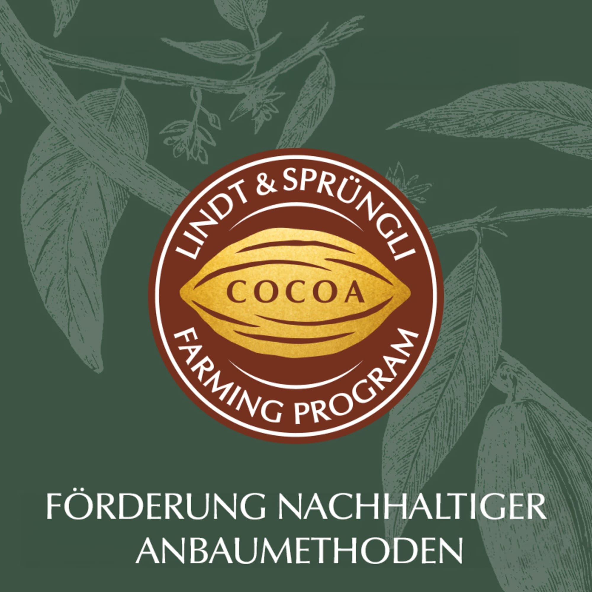 Lindt Schokolade LINDOR Mischung | 1371 g | Ca.109 Kugeln: Milch, 70%, Weiß, Milk&White, Stracciatella, Haselnuss, Salted Caramel, Double Chocolate, Feinherb, Pistazie | Schokoladengeschenk