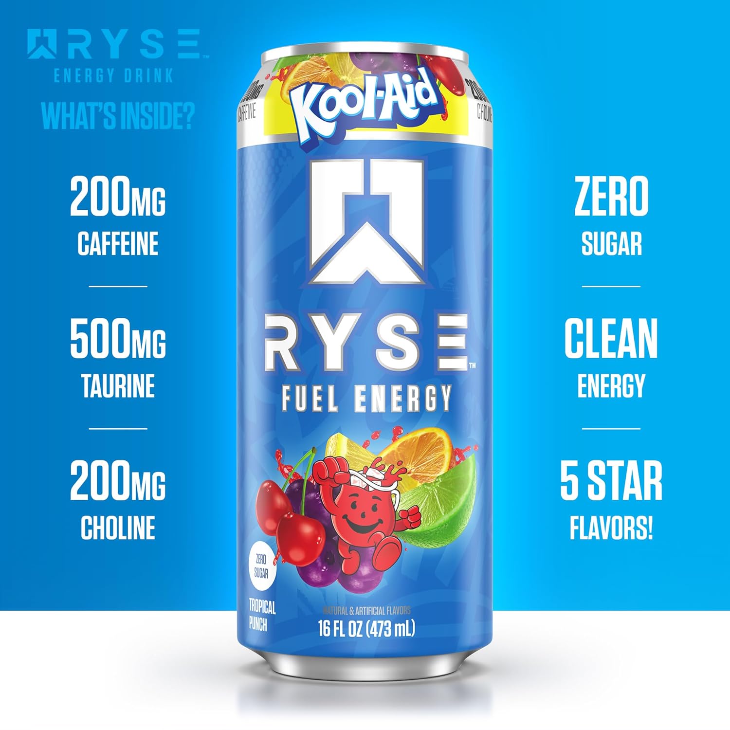 RYSE Fuel Energy Drink - Variety Pack - Sugar Free, Gluten Free & Vegan - 200mg Natural Caffeine, Taurine & Choline for Focus & Energy - No Artificial Colors - 16 fl oz Cans (12-Pack)