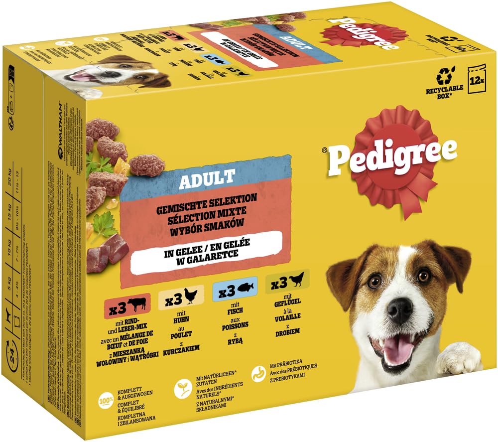 PEDIGREE DOGCARE Hundefutter Portionsbeutel Chunks in Soße Adult 40 x 100g