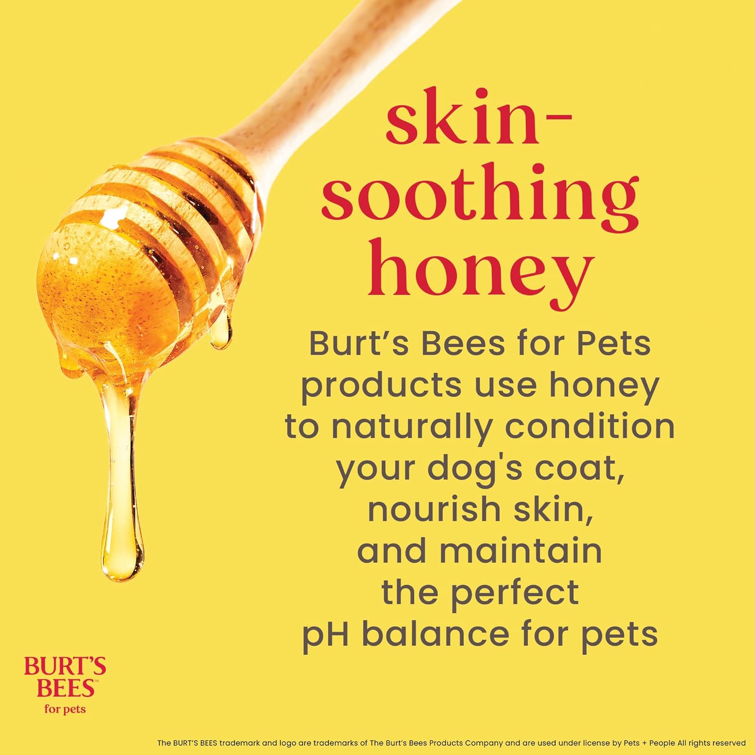 Burt's Bees Katzenshampoo, hypoallergen, mit natürlichen Inhaltsstoffen