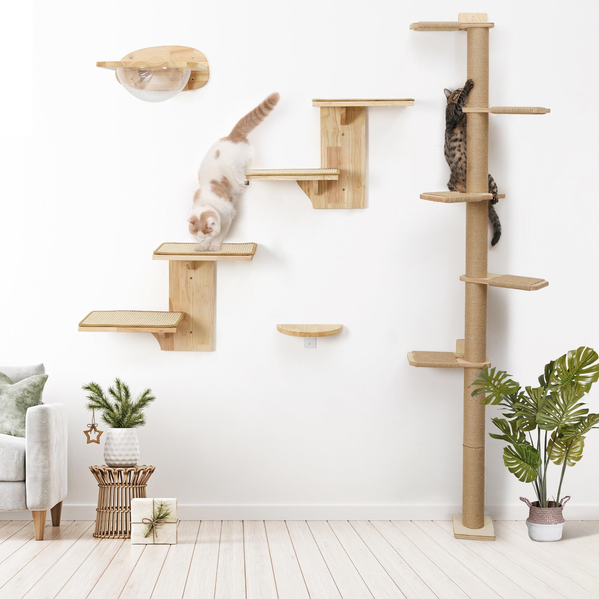FUKUMARU Kratzbaum, 5 Etagen bis zur Decke reichender Katzenturm(206 cm), wandmontierter Katzenbaum,aus Natürliches Gummibaumholz, für Katzen zum Klettern, Kratzen, Ausschau halten und Spielen.