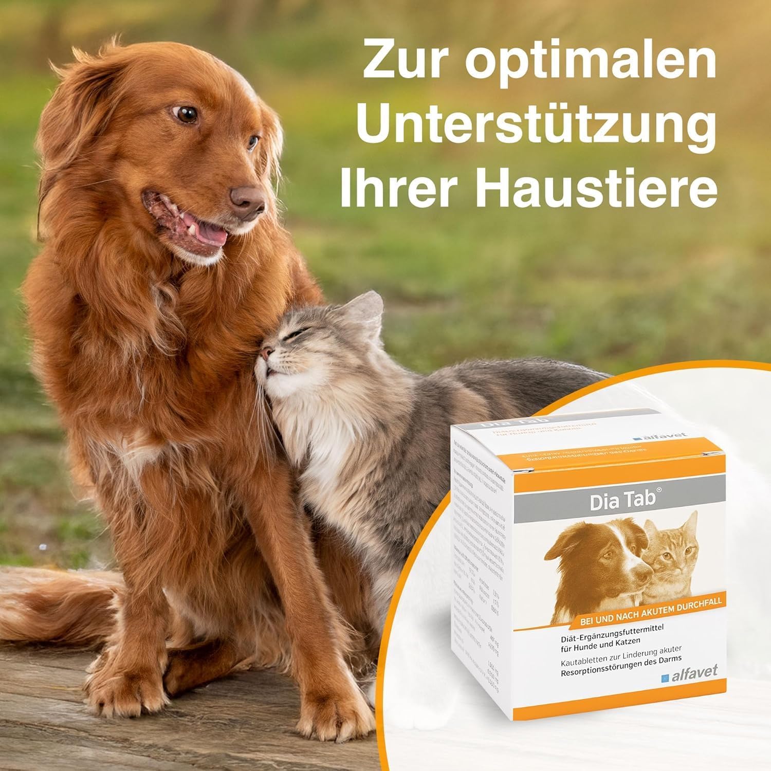alfavet Dia Tab 20 x 5,5 g – Diät-Ergänzungsfuttermittel für Hunde & Katzen – Mit pflanzlichen Inhaltsstoffen zur Regulierung der Verdauung & Darmflora – Kautabletten mit Präbiotika