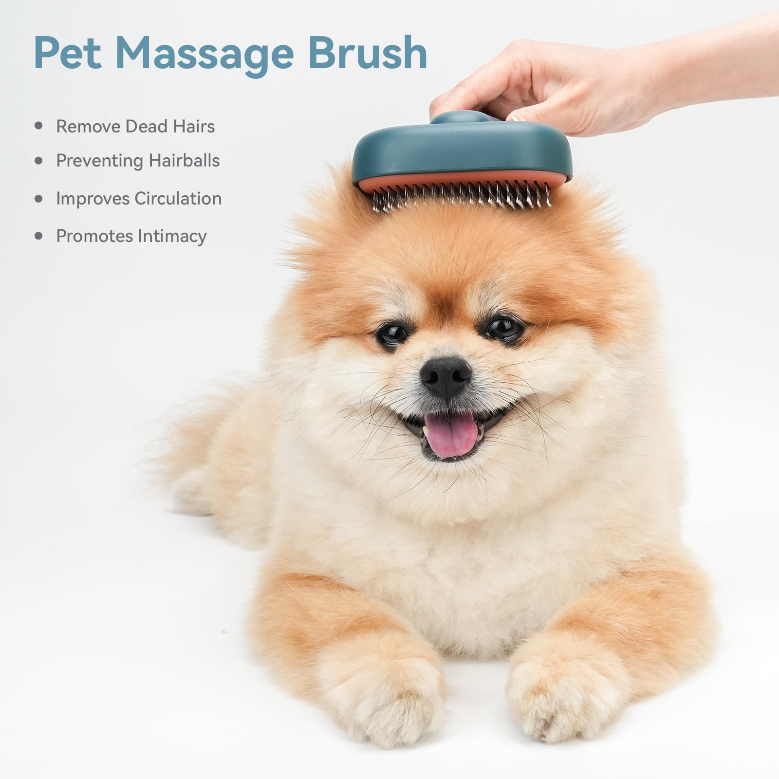 aumuca Katzenbürste für Langhaar und Kurzhaar, Haarentfernung mit Einem Klick, Hautfreundliche Katzenhaarbürste, Fellbürste für Katze und Hund zum Entfernen von losem Fell und zur Massage
