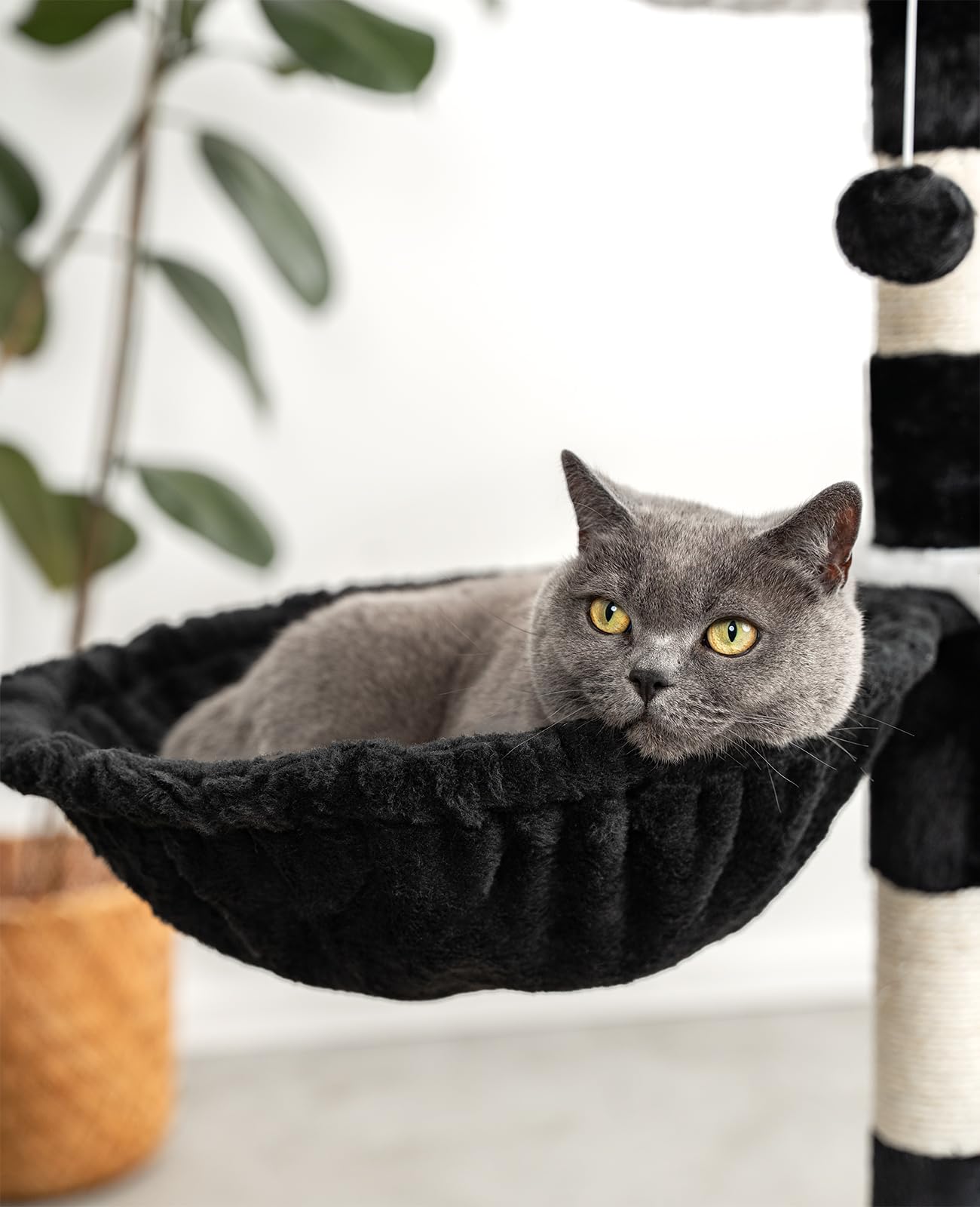 lionto Liegemulde aus weichem Plüsch für Kratzbaum, Ø 40 cm, 25 cm Tiefe, kuschelige Schlafmulde für jeden Katzenbaum mit M8-Gewinde, Stabiler Metallrahmen für kleine und große Katzen, dunkelgrau