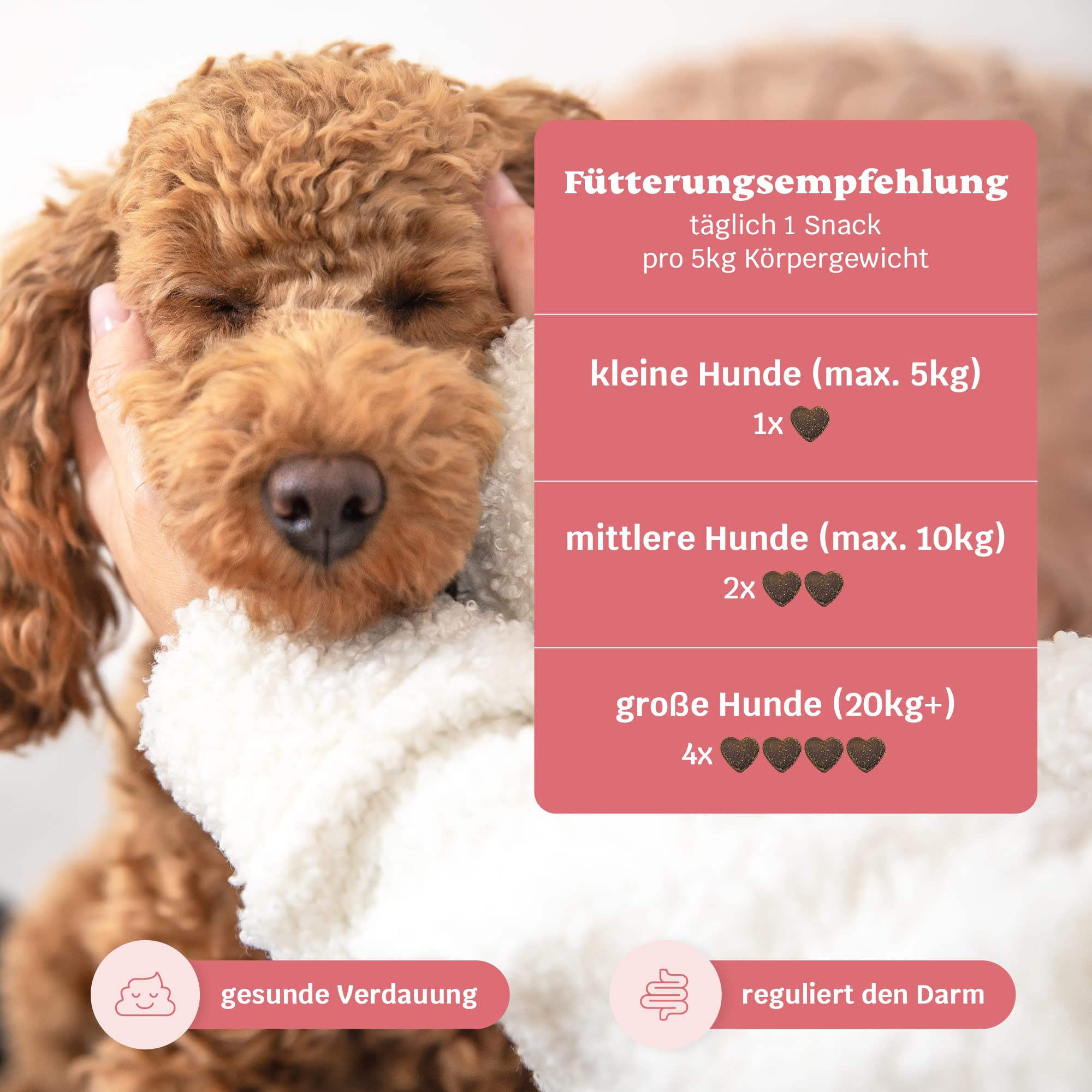 9-in-1 Probiotika für Deinen Hund - Lucky Belly Hypoallergen Allergie Fit ohne Huhn 120 Drops (350g) von mammaly-Bei Magenprobleme & Verdauungsprobleme für Magen-Darm,Verdauungssnacks bei Gras fressen