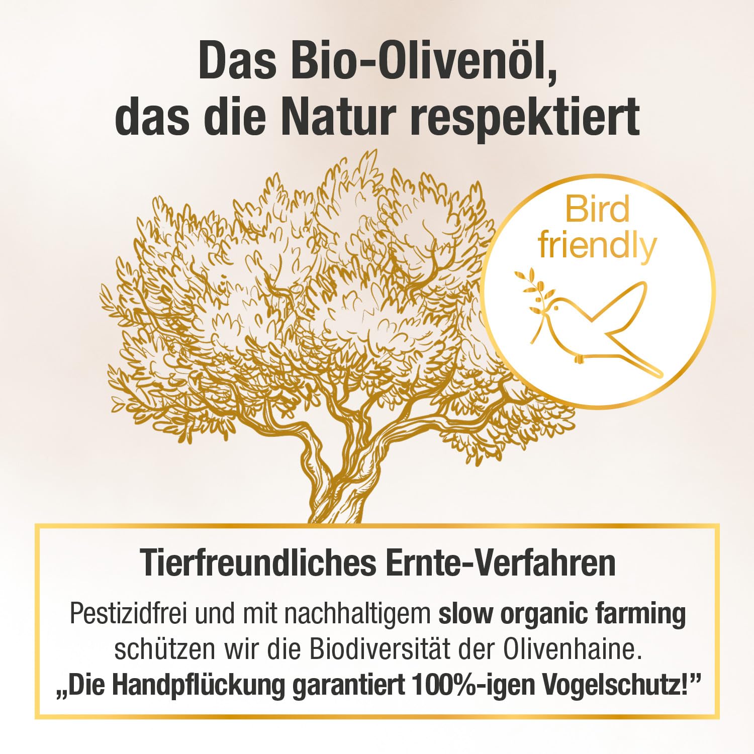 Das Olivenöl mit Gesundheitswert – extra hoher Polyphenol-Gehalt 950 mg/kg – Bio-Qualität – nur 1 Esslöffel/Tag – Oliv PLUS – 500 ml – 50 Portionen