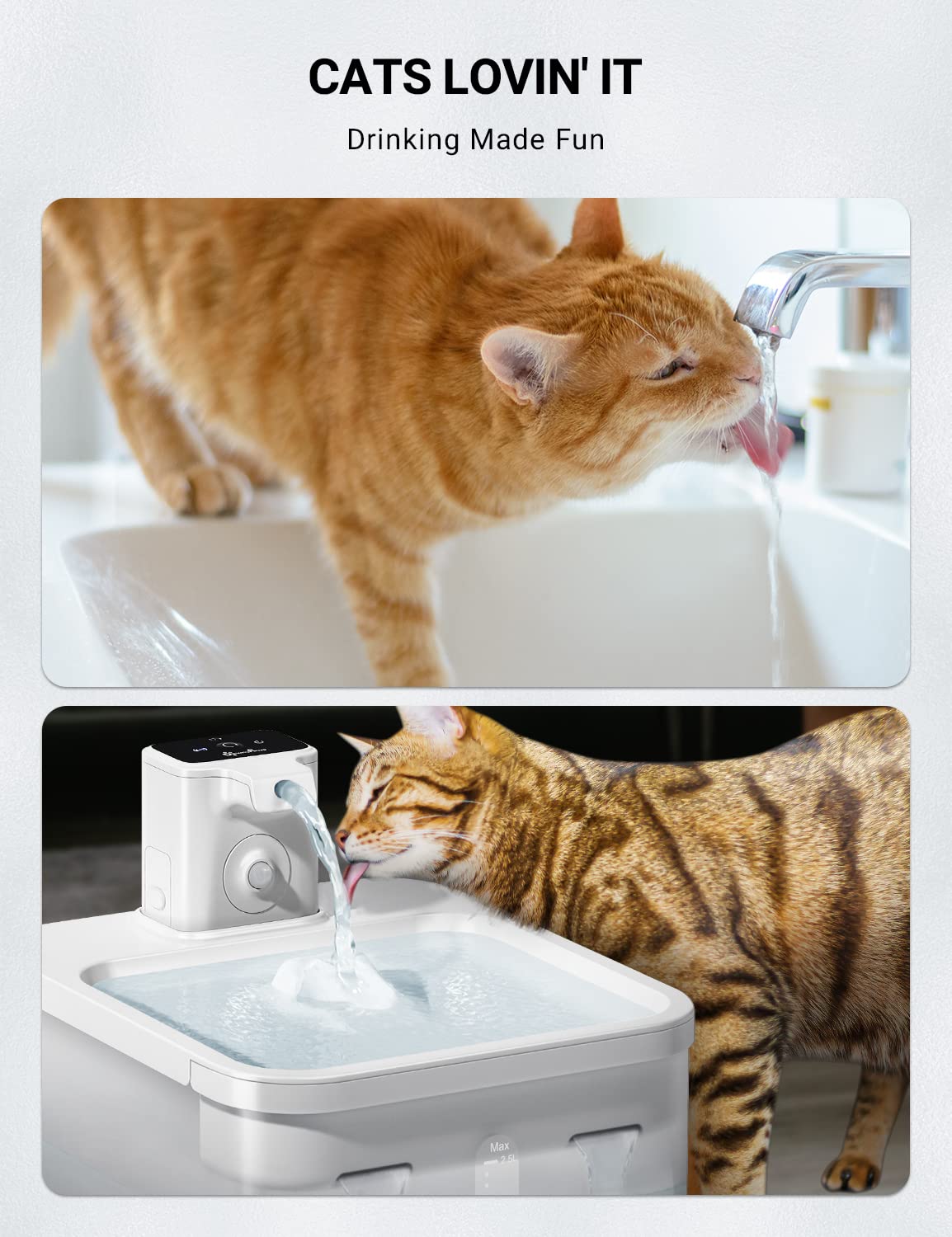 DownyPaws 2.5L Trinkbrunnen für Katze Kabellos, Katzenbrunnen Kabellos mit Bewegungsmelder, Batteriebetrieben Katzentrinkbrunnen, 4000mAh, Leise Wasserpumpe, Tablett aus Edelstahl für Katze, Schwarz