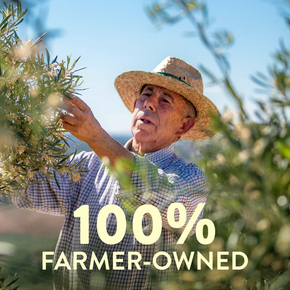 Pompeian Robust Extra Virgin Olive Oil, Contains Polyphenols, First Cold Pressed, 68 Fl Oz