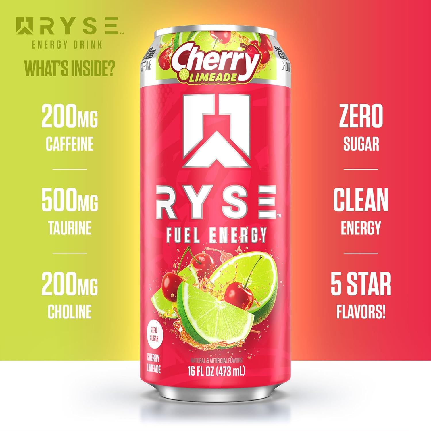 RYSE Fuel Energy Drink - Variety Pack - Sugar Free, Gluten Free & Vegan - 200mg Natural Caffeine, Taurine & Choline for Focus & Energy - No Artificial Colors - 16 fl oz Cans (12-Pack)