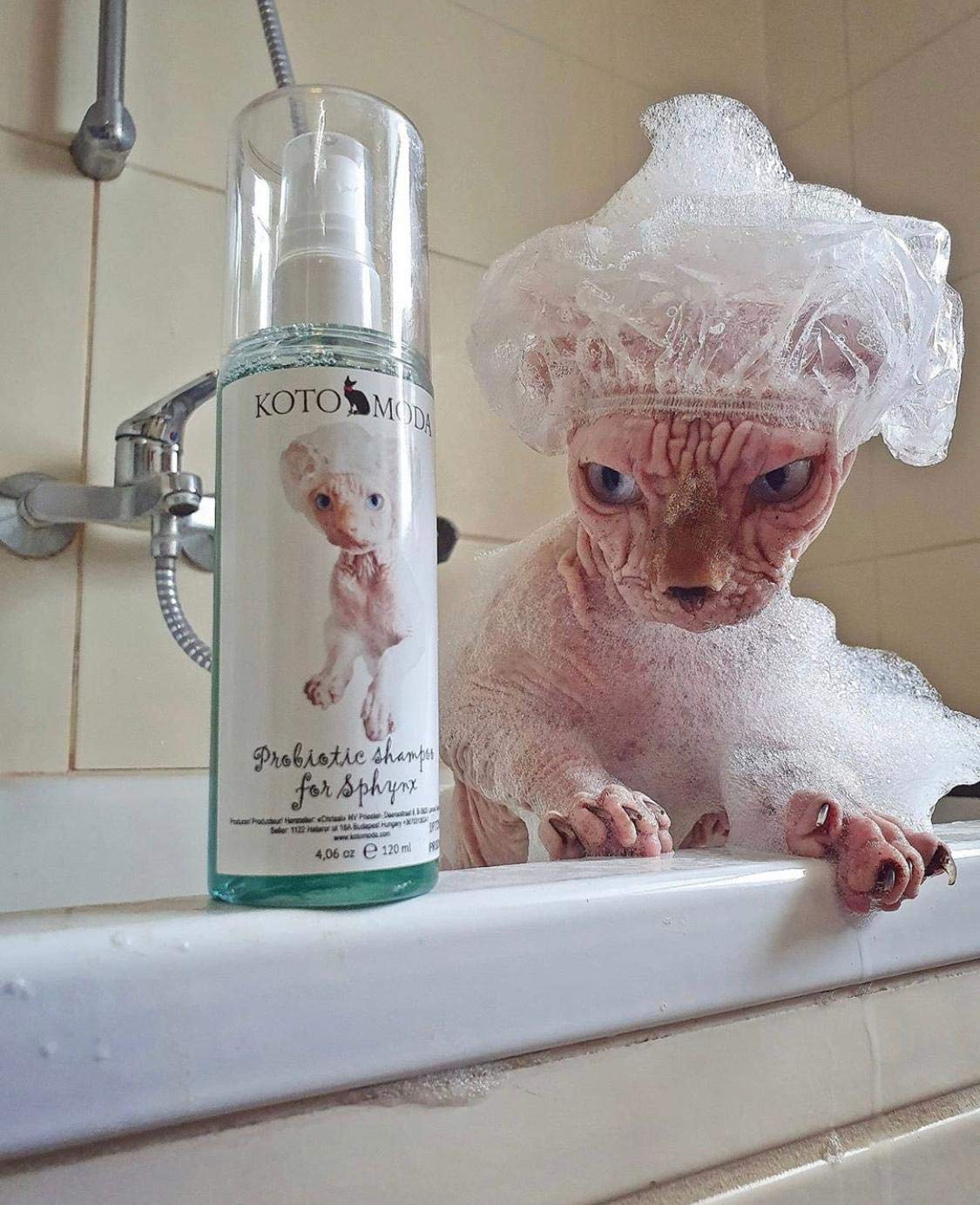 Probiotisches Shampoo für Sphynx-Katzen, sanfter parfümfreier Reiniger für haarlose und kurzhaarige Rassen, pH-balancierte Pflegeformel für empfindliche Haut, 120 ml / 4,06 FL oz