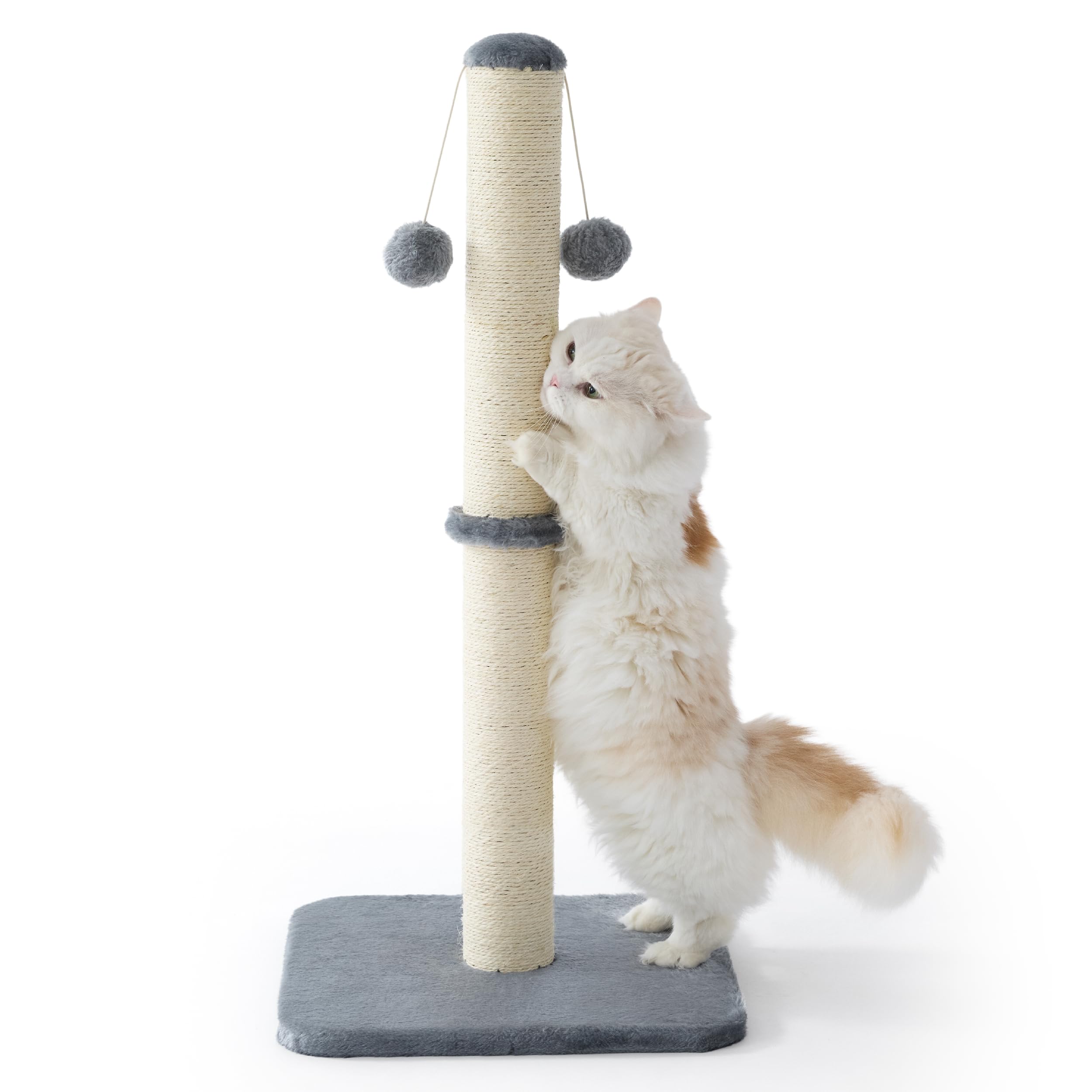 Lesure Kratzsäule Mittelgroßer für Katzen Indoor - 36x36x74cm Kratzstamm mit Hängendem Spielball, Kleiner Kratzbaum mit Sisalseil, Stabile Basis Kratzsäule, Grau