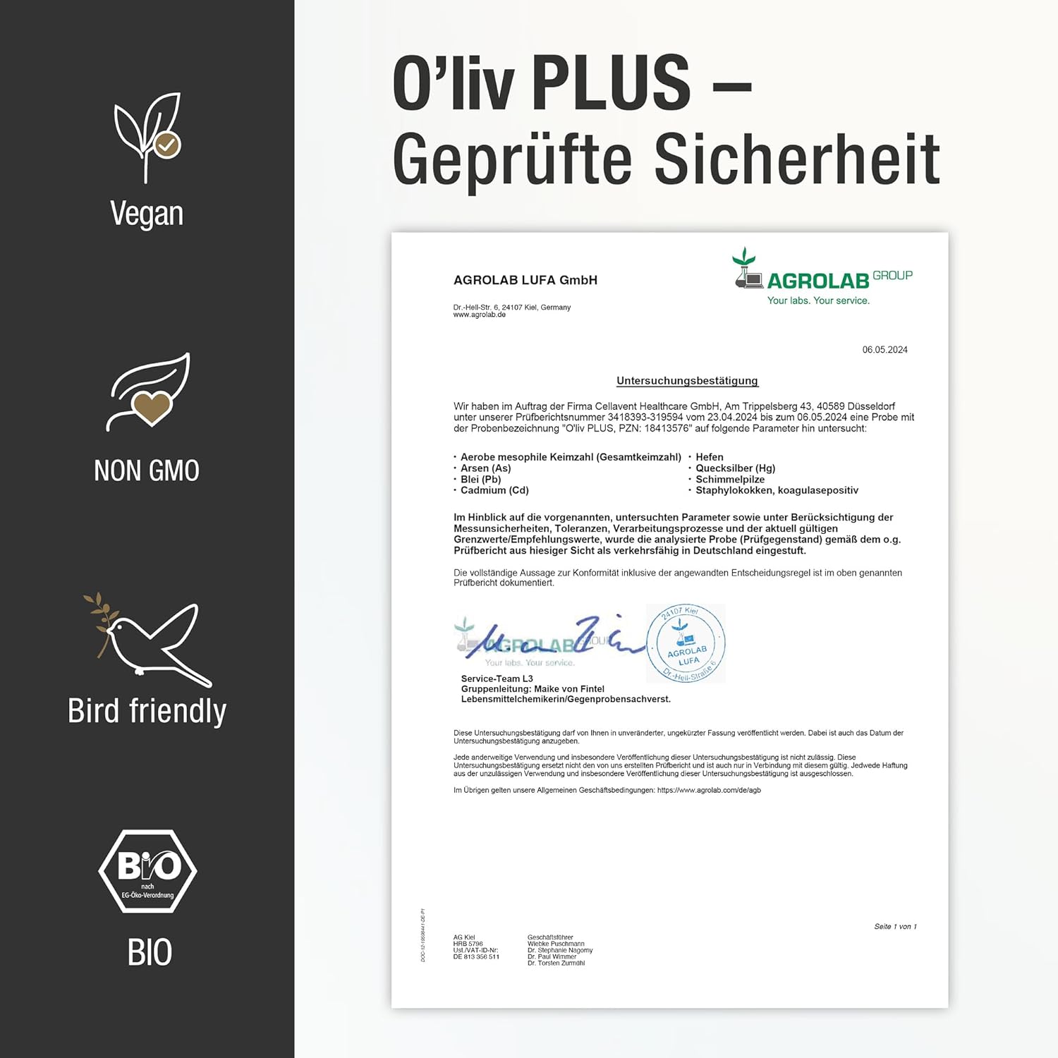Das Olivenöl mit Gesundheitswert – extra hoher Polyphenol-Gehalt 950 mg/kg – Bio-Qualität – nur 1 Esslöffel/Tag – Oliv PLUS – 500 ml – 50 Portionen
