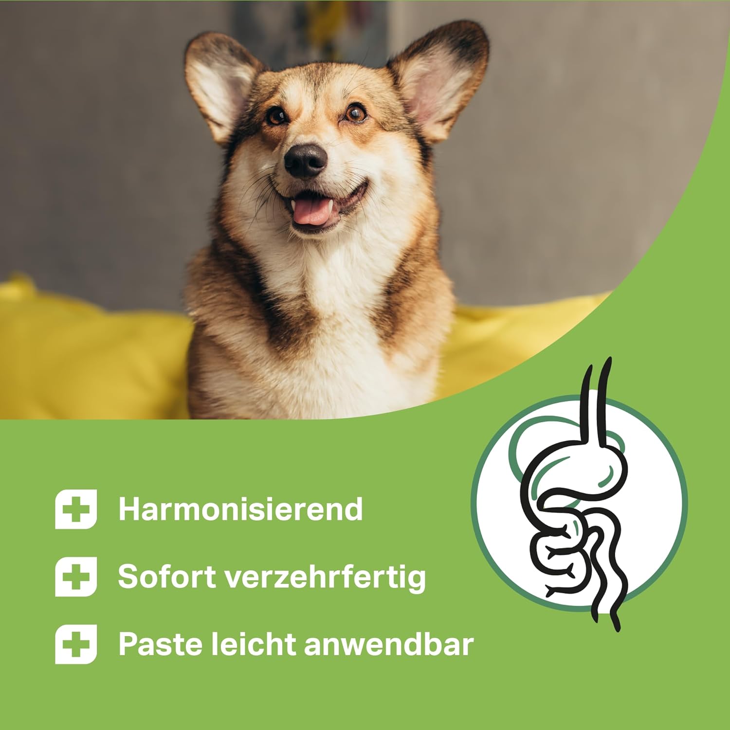 MEDIDOG 500g Premium Ulmenrinden-Paste für Hunde sofort verzehrfertig mit Slippery Elm Bark | unterstützt eine gesunde Verdauung & Normale Kotkonsistenz