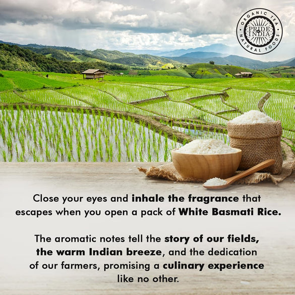 Pride Of India - Extra Long Indian Basmati Rice, Naturally Aged Aromatic Grain, 3 lbs Jar