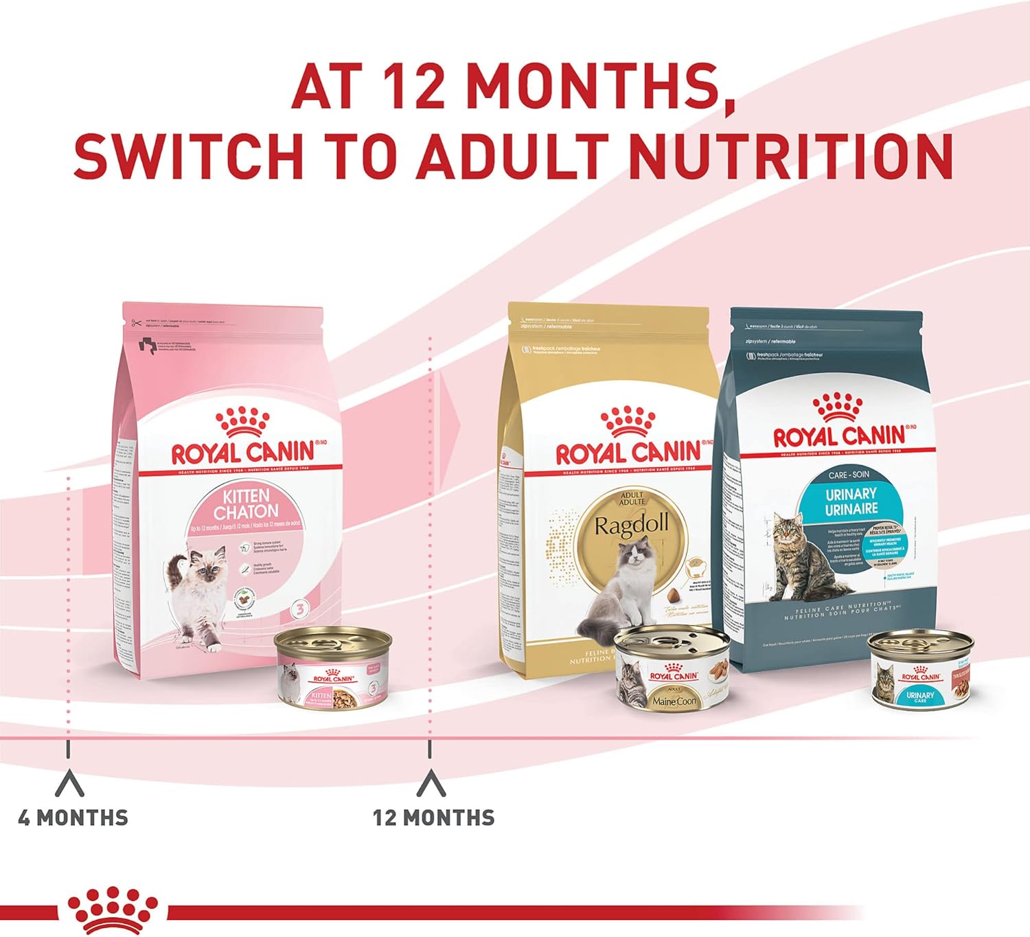 Royal Canin Feline Health Nutrition Kitten Thin Slices in Gravy Cat Food, 3 oz (Pack of 12)