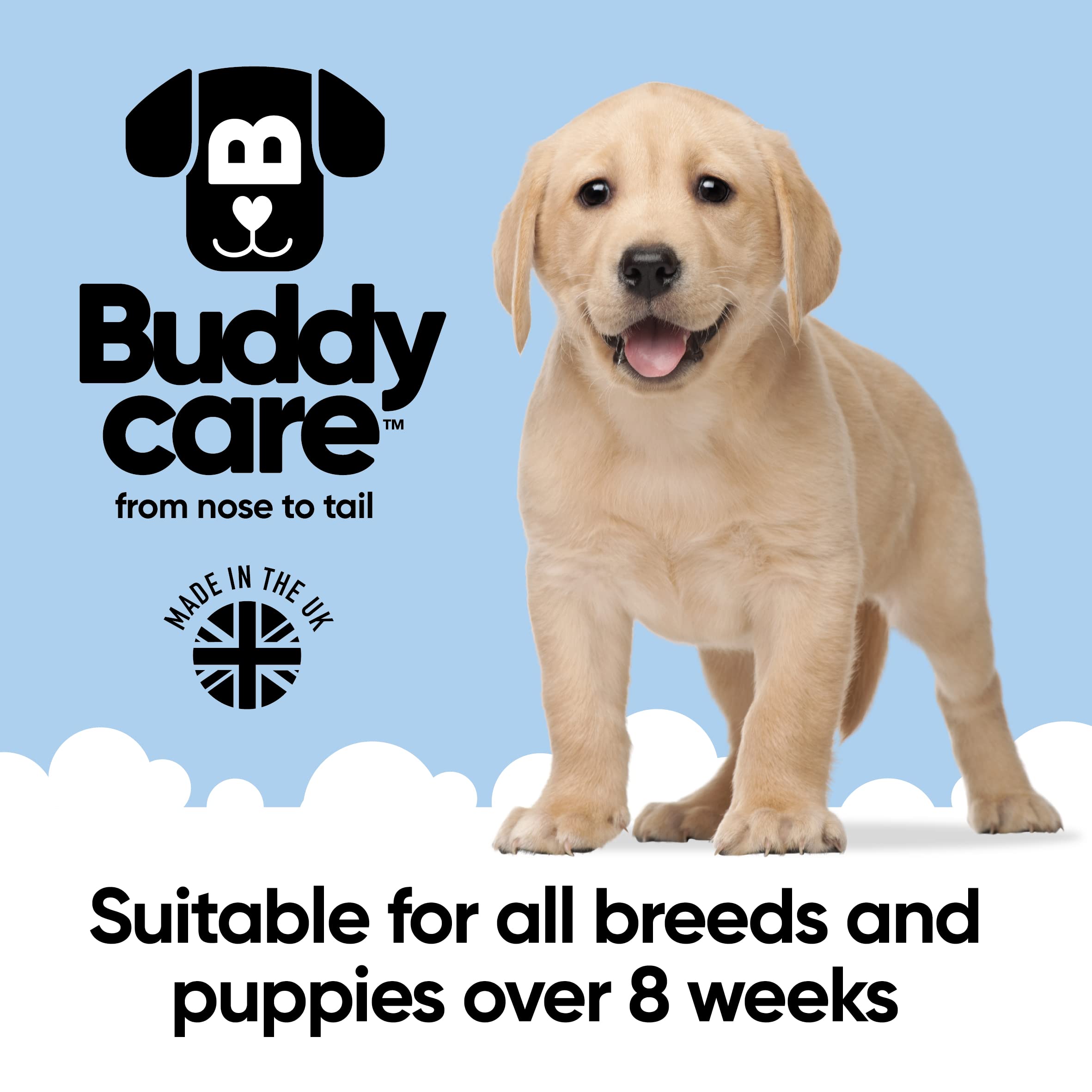 2in1 Hundeshampoo und Conditioner von Buddycare (500ml) - Praktisches Hundeshampoo langhaar und welpen Shampoo Mit Aloe Vera und Pro-Vitamin B5 Rückfettendes Shampoo Für Alle Hunderassen