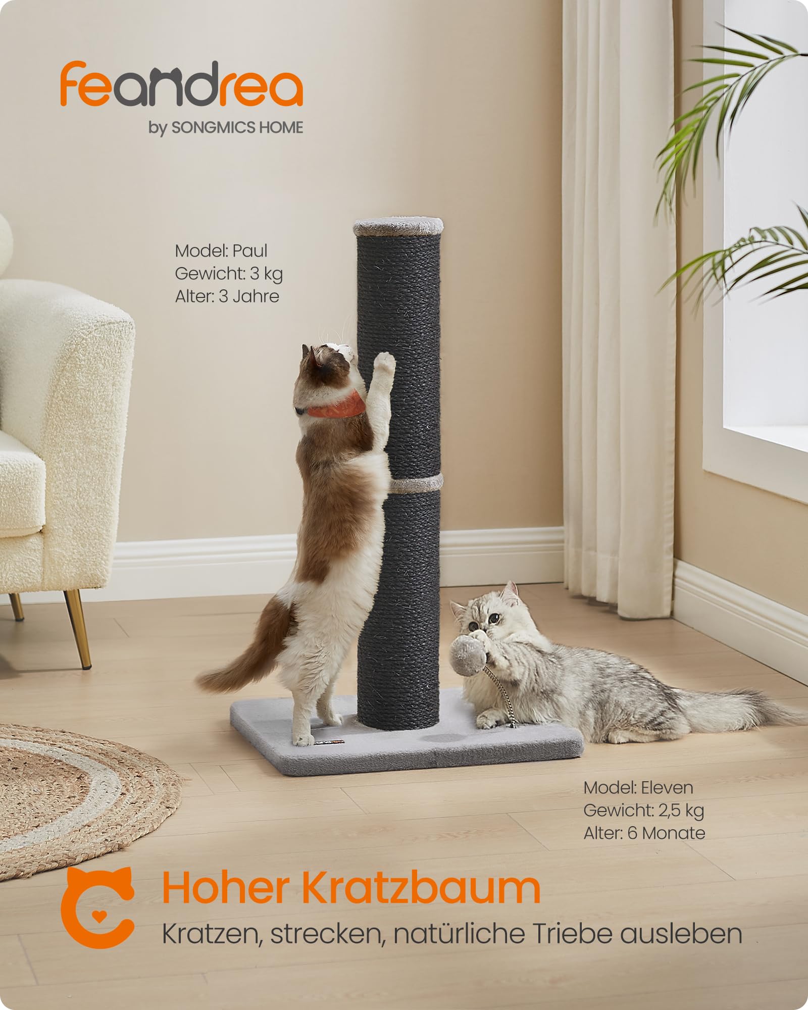 Feandrea Kratzbaum, 85 cm hoch, Kratzsäule XL, 13 cm Dicker Stamm, Katzenbaum, Kratzstamm für mittelgroße und große Katzen, Sisalstamm, mit Plüschball und Glocke, Taubengrau PCA041G01