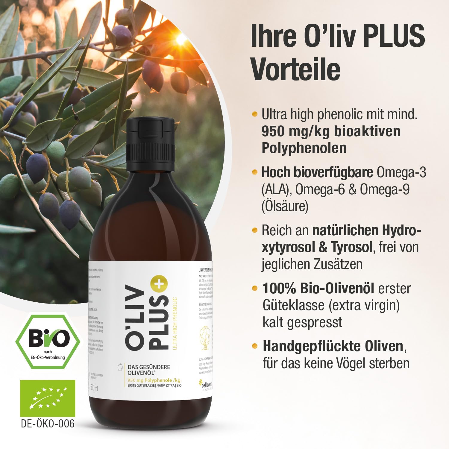 Das Olivenöl mit Gesundheitswert – extra hoher Polyphenol-Gehalt 950 mg/kg – Bio-Qualität – nur 1 Esslöffel/Tag – Oliv PLUS – 500 ml – 50 Portionen