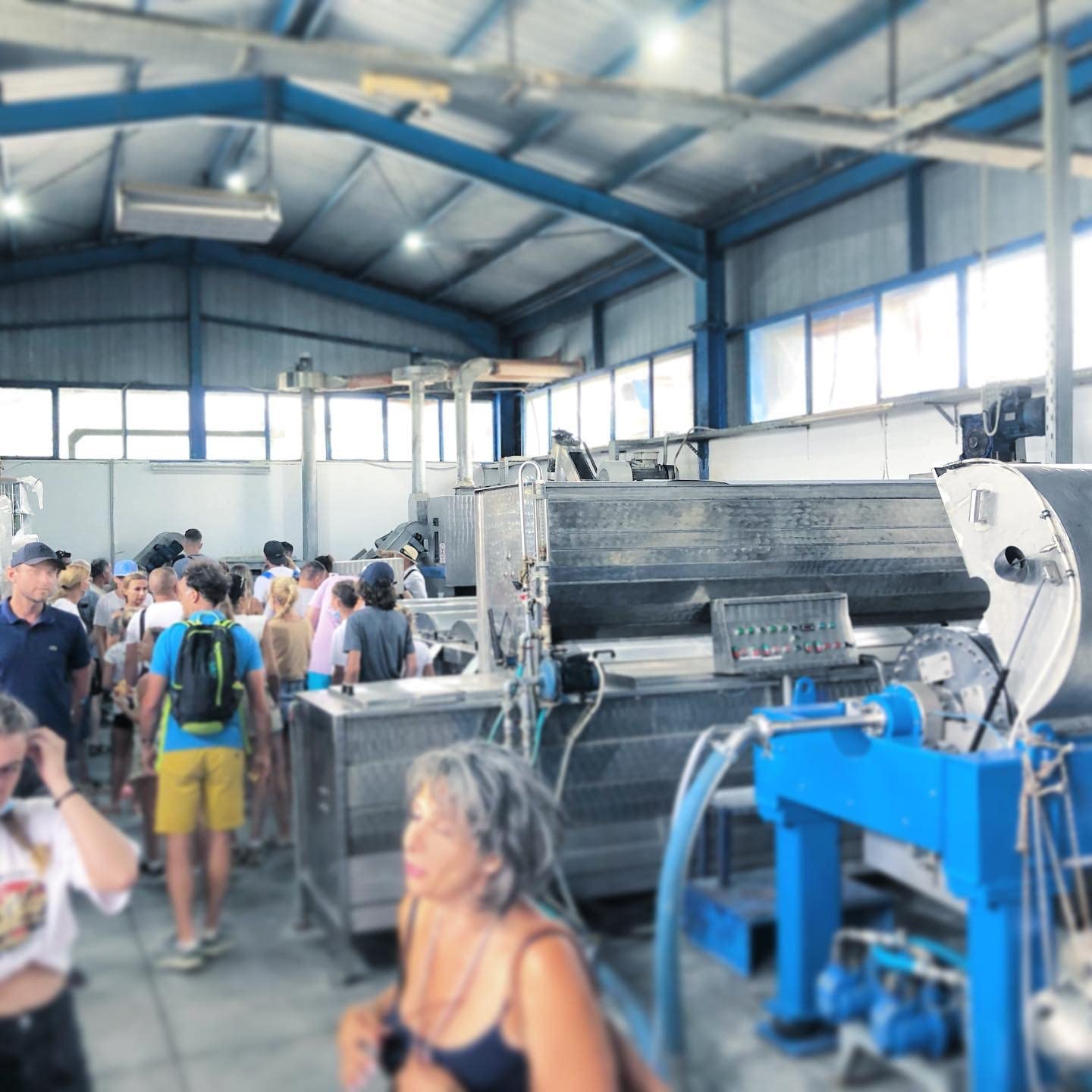 Olivenöl 5 L aus Kreta, Griechenland – „NIKOLAOS“ Premium-Qualität, reich an Polyphenolen, extra nativ, kaltgepresst. Neue Ernte: 2025/2026. MHD: bis September 2027