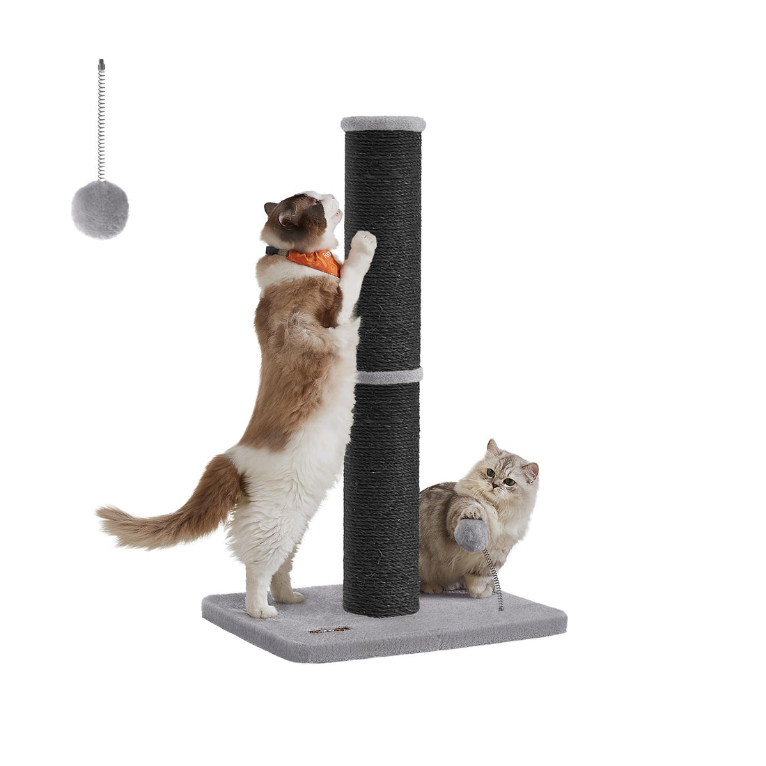 Feandrea Kratzbaum, 85 cm hoch, Kratzsäule XL, 13 cm Dicker Stamm, Katzenbaum, Kratzstamm für mittelgroße und große Katzen, Sisalstamm, mit Plüschball und Glocke, Taubengrau PCA041G01