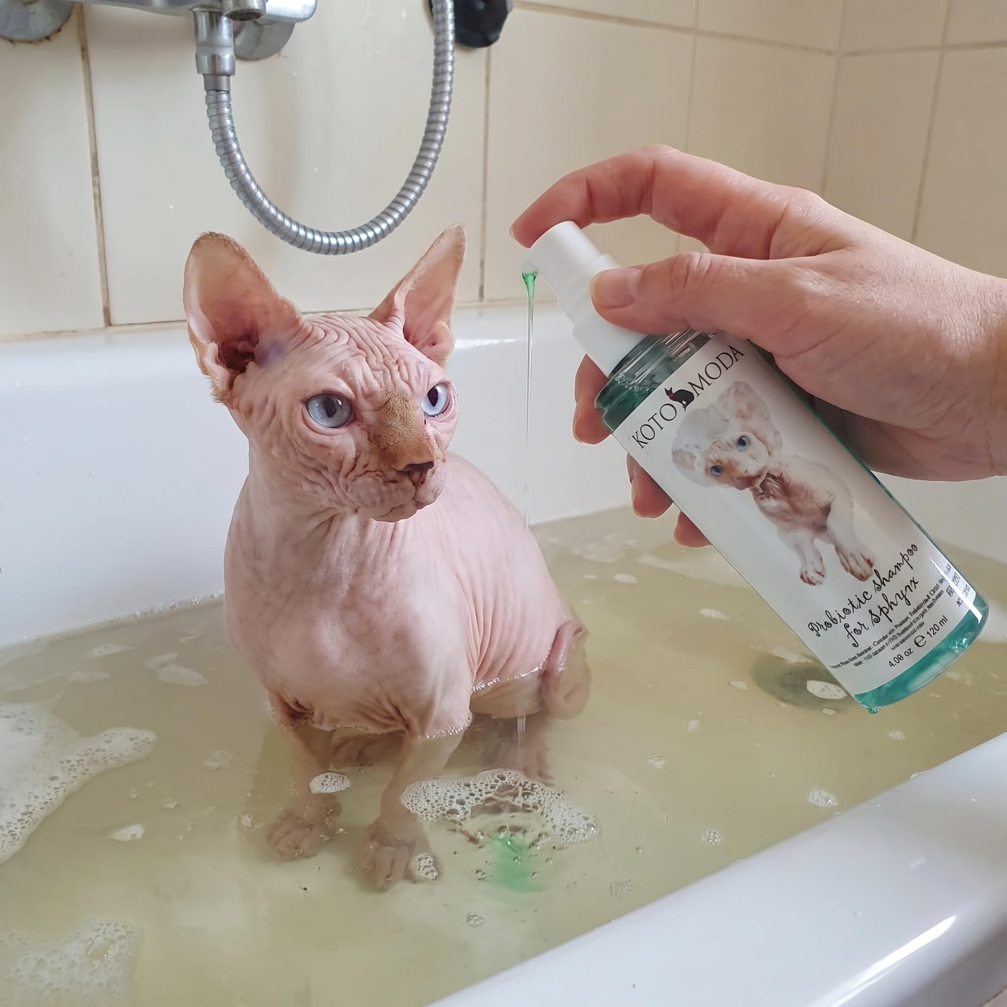 Probiotisches Shampoo für Sphynx-Katzen, sanfter parfümfreier Reiniger für haarlose und kurzhaarige Rassen, pH-balancierte Pflegeformel für empfindliche Haut, 120 ml / 4,06 FL oz