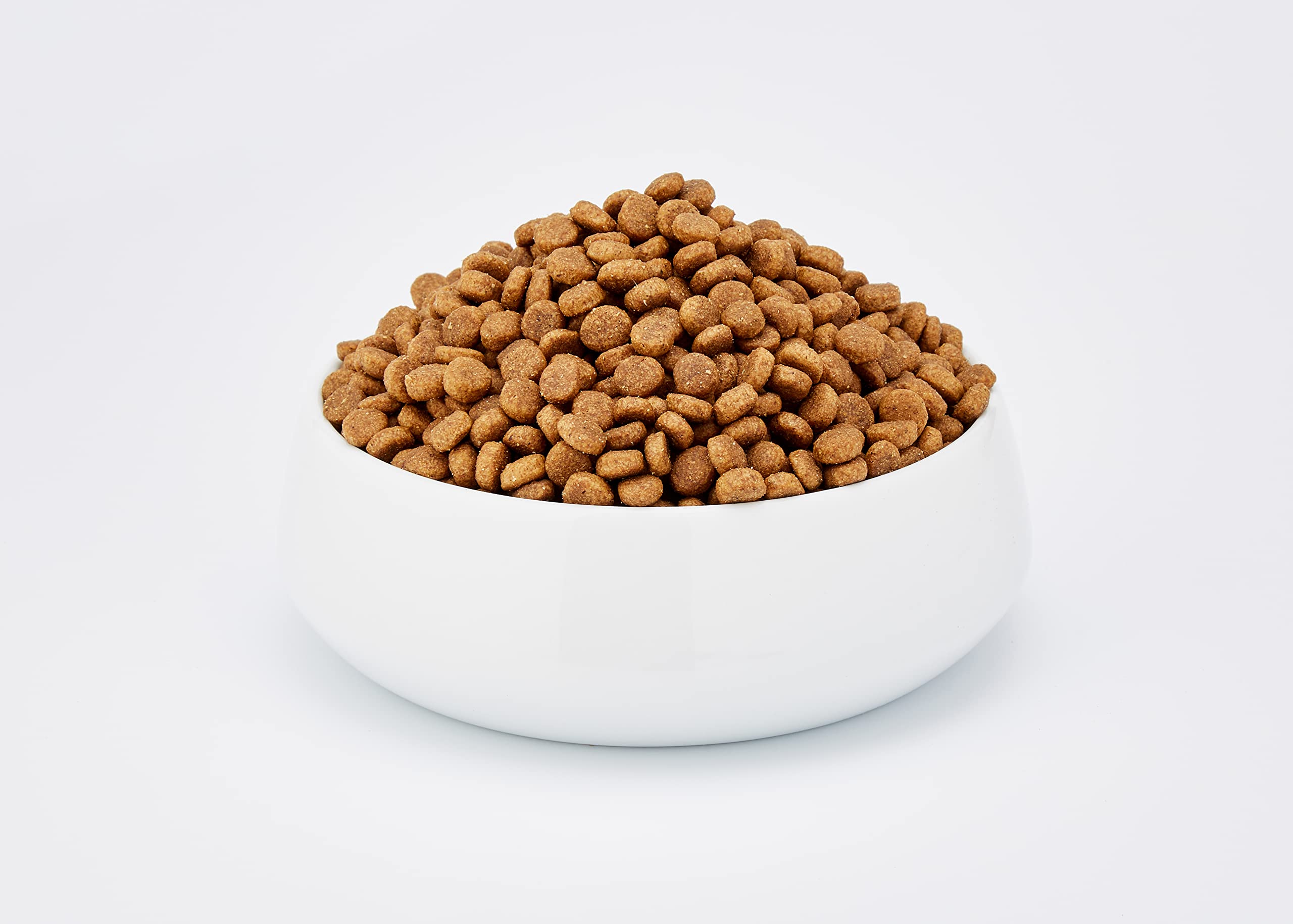 Wellness CORE Sterilised Ocean 4 kg, Lachs – Katzenfutter Trocken für sterilisierte Katzen, getreidefrei, natürlich, hypoallergen, proteinreich, unterstützt gesunde Haut und glänzendes Fell