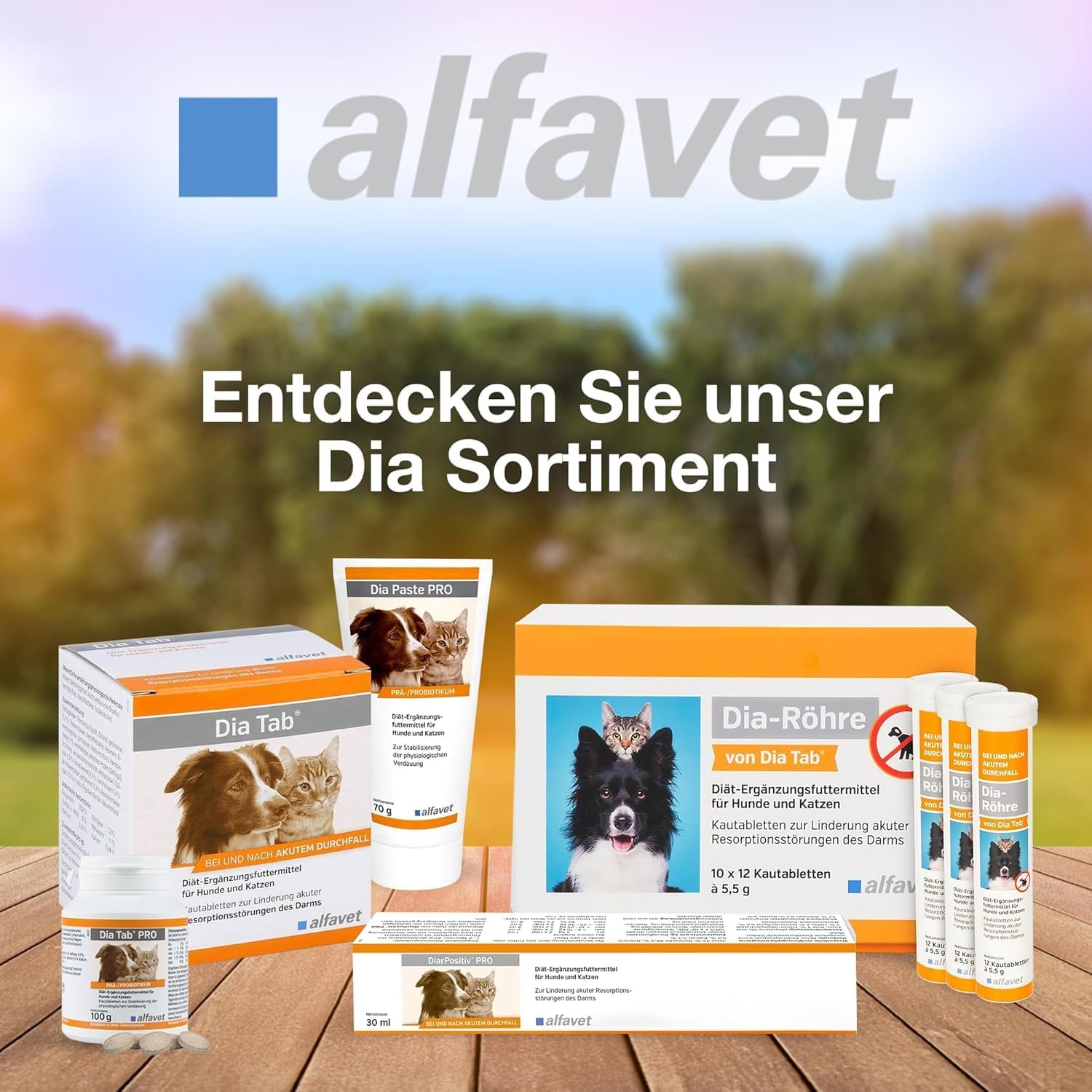 alfavet Dia Tab 20 x 5,5 g – Diät-Ergänzungsfuttermittel für Hunde & Katzen – Mit pflanzlichen Inhaltsstoffen zur Regulierung der Verdauung & Darmflora – Kautabletten mit Präbiotika