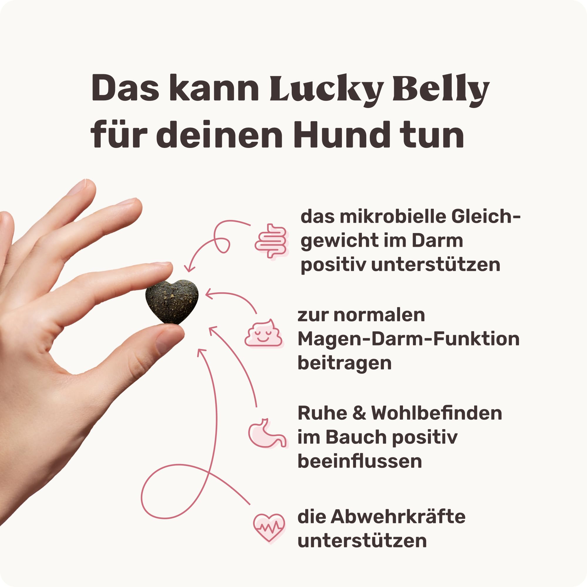 9-in-1 Probiotika für Deinen Hund - Lucky Belly Hypoallergen Allergie Fit ohne Huhn 120 Drops (350g) von mammaly-Bei Magenprobleme & Verdauungsprobleme für Magen-Darm,Verdauungssnacks bei Gras fressen