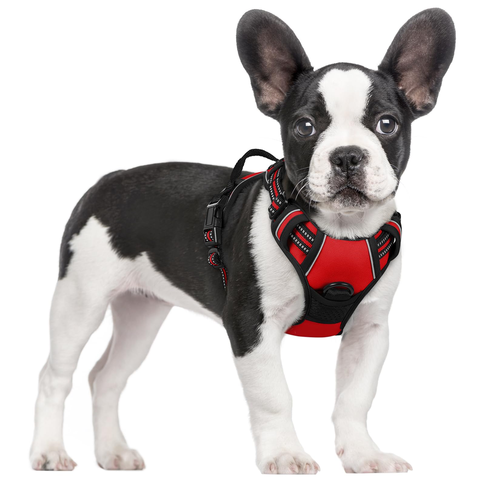 rabbitgoo Hundegeschirr Grosse Hunde, Anti Zug Geschirr mit Kontrolle, No Pull Verstellbar Hundegeschirr Mittelgroße Hunde, Atmungsaktiv Reflexstreifen Brustgeschirr Sichere Führung, Schwarz, L