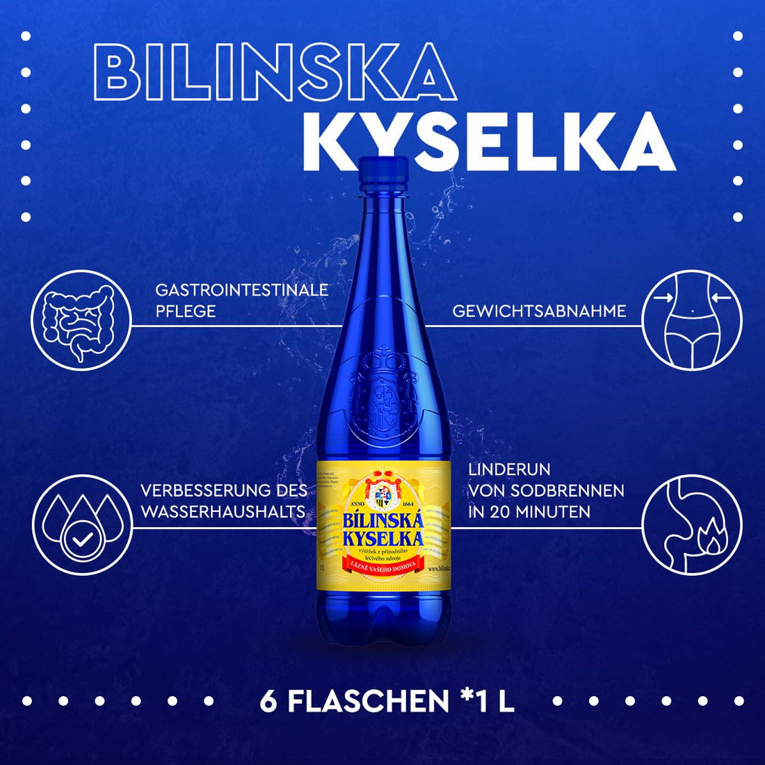 Bilinska Kyselka Mineralwasser aus der Tschechischen Republik - Natürliches medizinisches Tafel Medium Wasser - Natriumbikarbonatwasser mit mittlerer Mineralisierung - 6er Packung, je 1 l