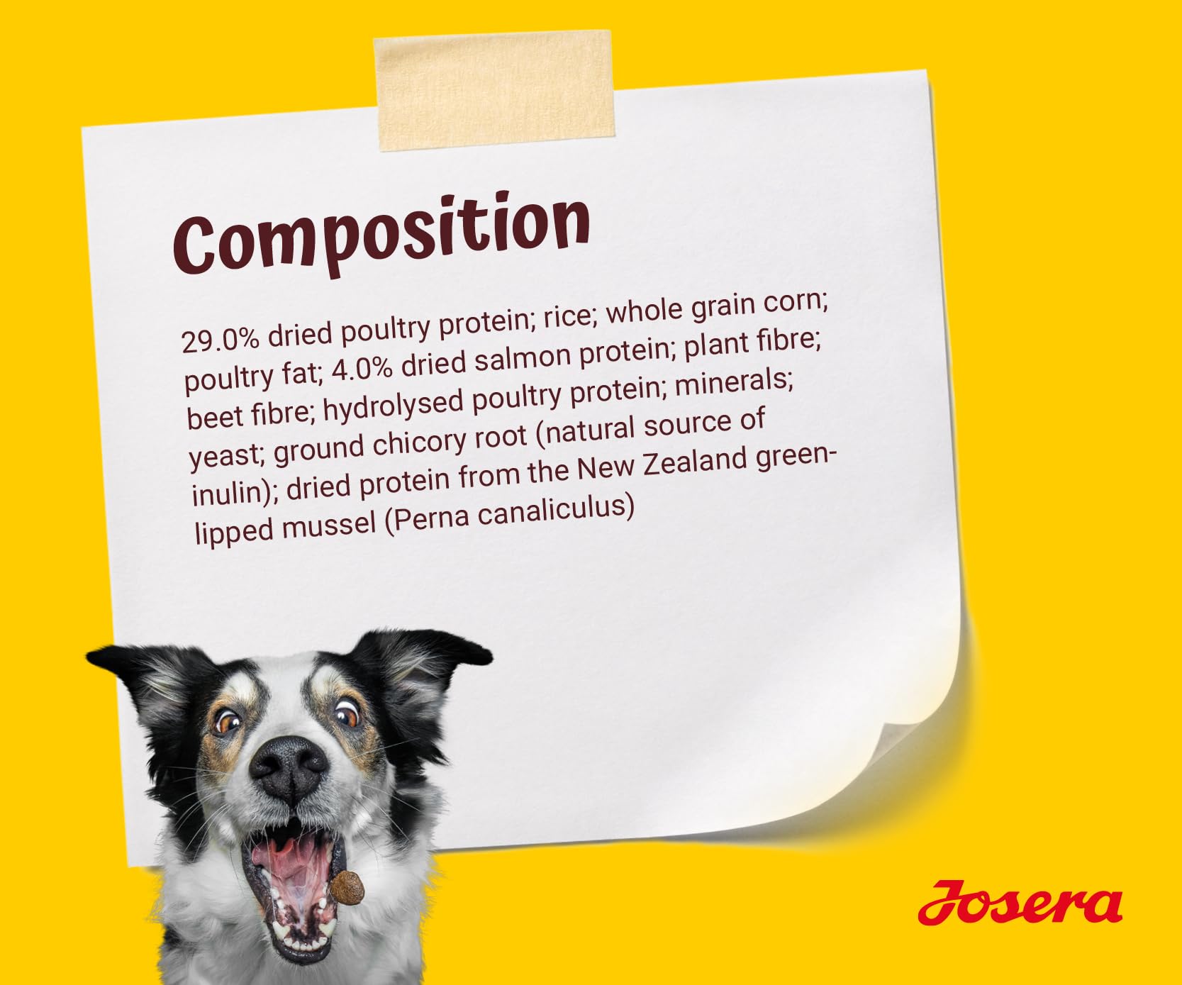 JOSERA Adult Large Optiness Lamm & Reis (1 x 12,5 kg) | Premium Trockenfutter für ausgewachsene Hunde | eiweißreduziert | weizenfrei | wertvolle Fettsäuren | XL-Kroketten gegen Schlingen