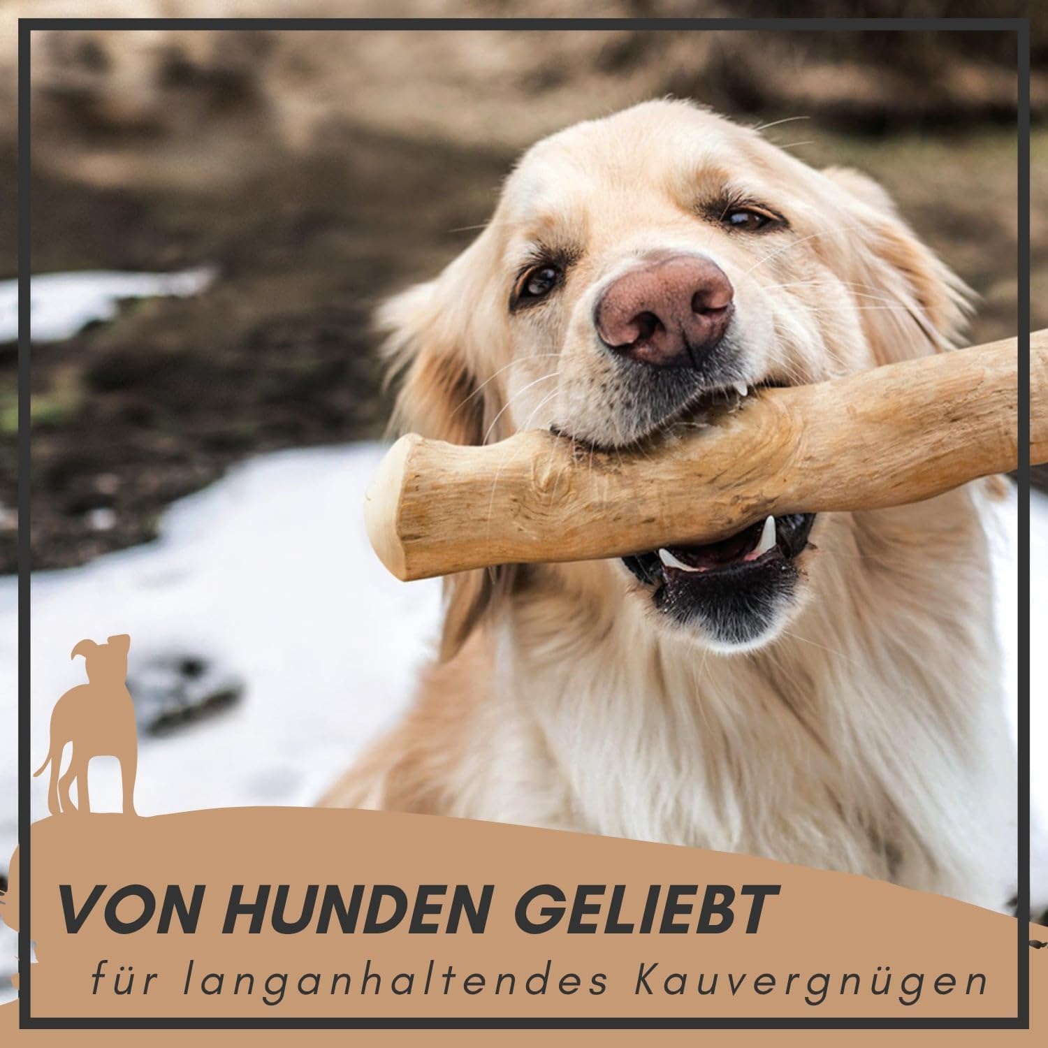 Supravit Natürlicher Kauknochen aus Kaffeeholz für Welpen XS | Mehr als EIN Holzstäbchen - spannendes Welpen Kauspielzeug & langanhaltende Beschäftigung | Kaustab Kauholz