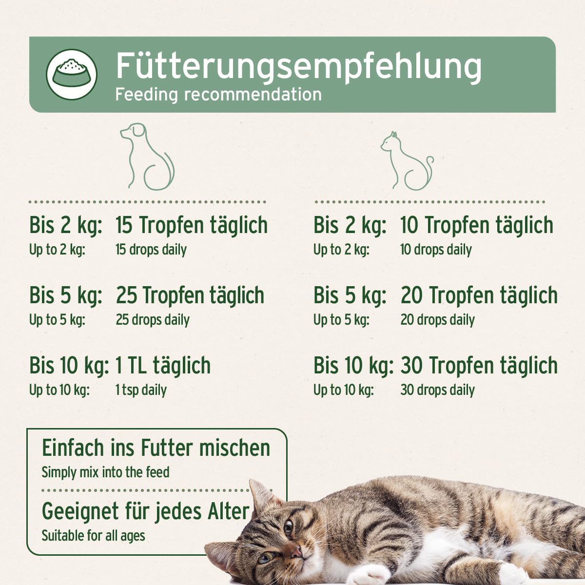 VERGLEICHSSIEGER SEHR GUT 2025 AniForte Lachsöl Hunde 1 Liter – Reich an Omega 3 & 6, Fischöl Hund hochdosiert, echte Lebensmittelqualität ohne Zusätze, frisch abgefüllt in Deutschland