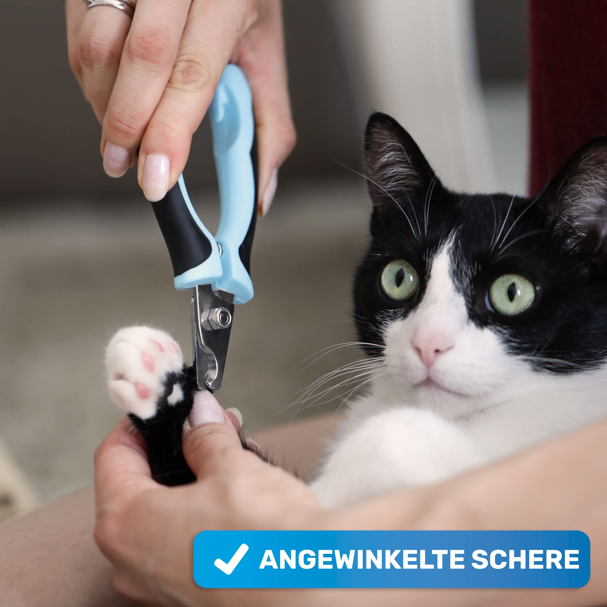 BluePet Krallenschere mit Schutz für Hunde & Katzen I Einsteigerfreundlich I Krallenzange für kleine & große Krallen + Krallenfeile im Griff - Alternative zu Nagelschere & Krallenschleifer