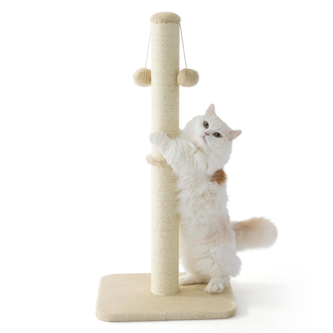 Lesure Kratzsäule Mittelgroßer für Katzen Indoor - 36x36x74cm Kratzstamm mit Hängendem Spielball, Kleiner Kratzbaum mit Sisalseil, Stabile Basis Kratzsäule, Grau