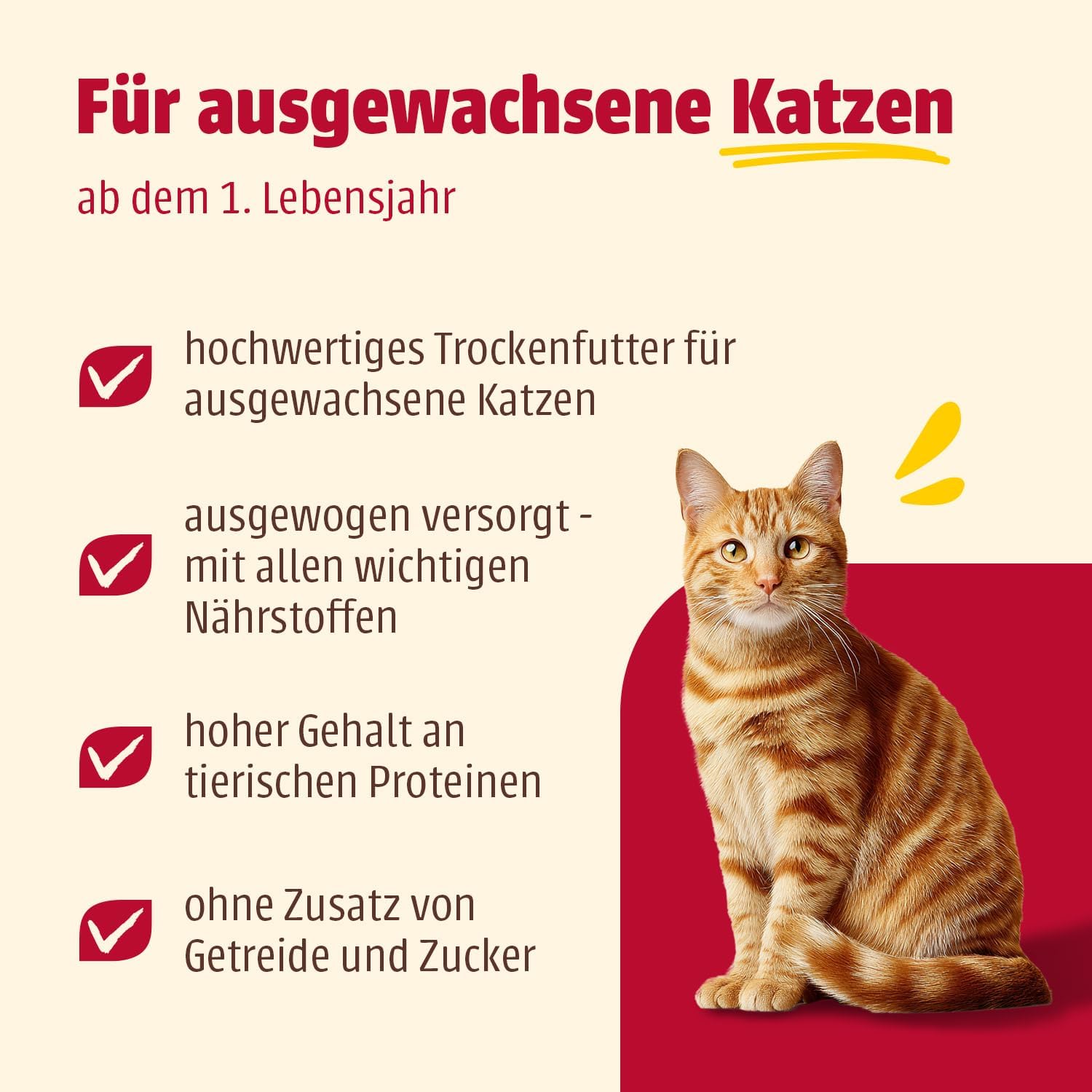 animonda Carny Katzen Trockenfutter Huhn und Rind (1 x 1,75 kg), Trockenfutter für ausgewachsene Katzen ohne Zucker und Getreide, mit frischem Hühnerfleisch und Rinderprotein
