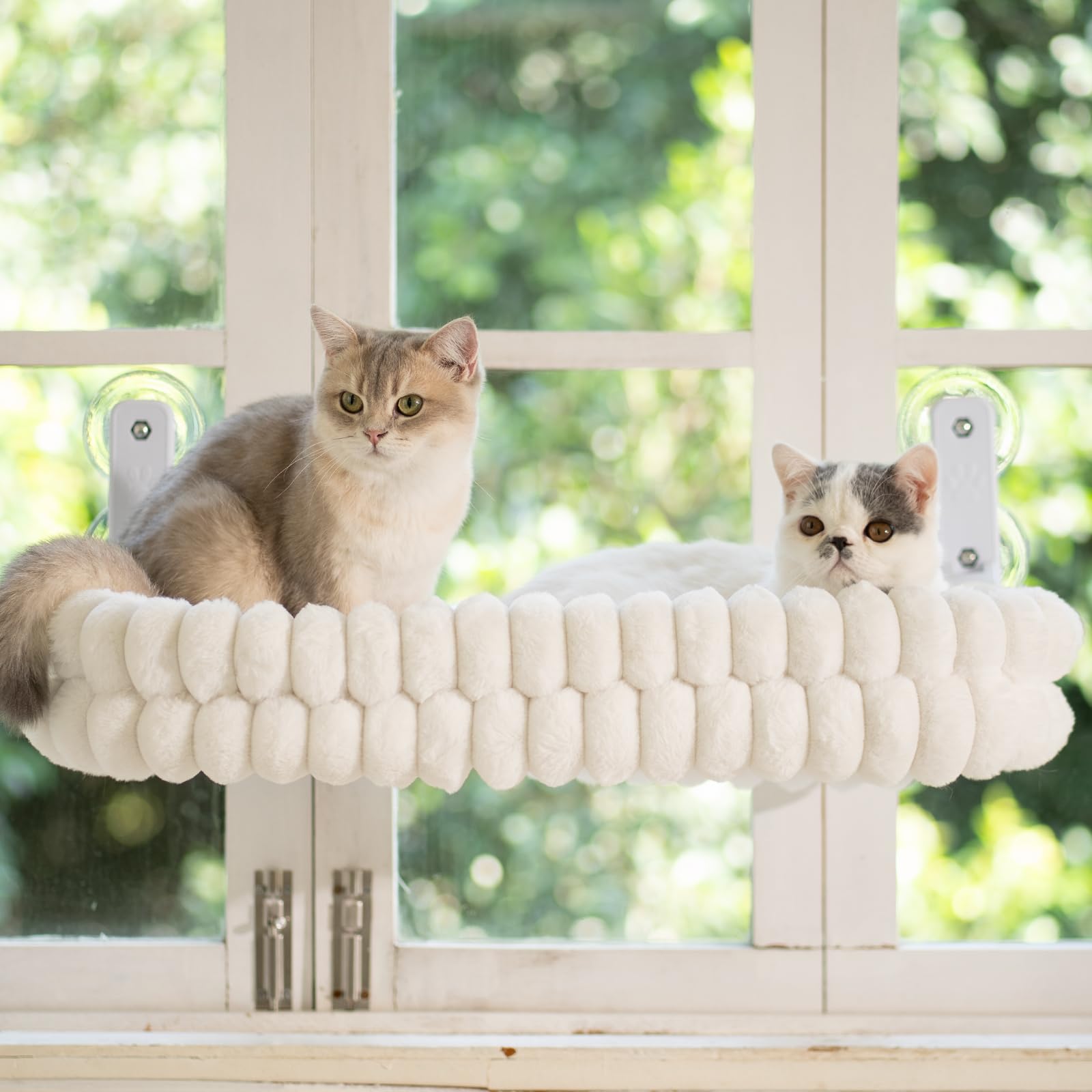 CheerPals Katzen Fensterliege, Weich Abnehmbarem Wendebezug Hängematte, Faltbare Katzenliege, Fenster Katzenbett mit Stabiles Stahlgestell und Saugnäpfe, Halt bis 18kg