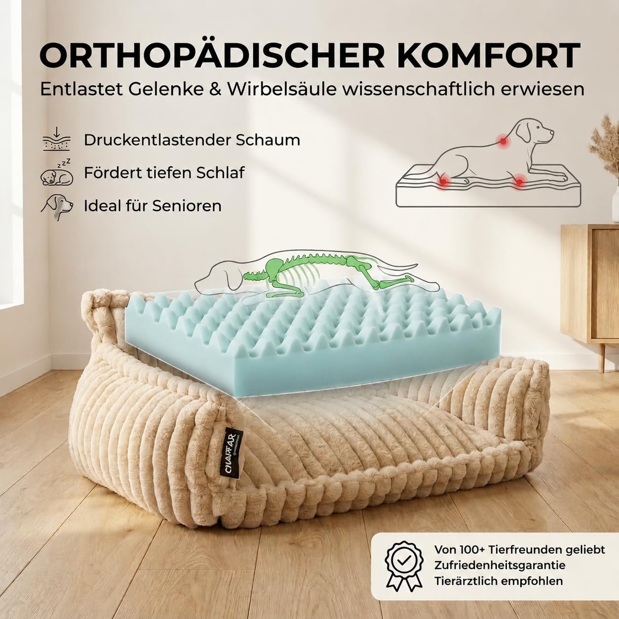 Katzensofa Chaffar | Katzenbett Hundebett Hundesofa | Orthopädische Matratze | Moderner Stil | Cord-Design Größen (Lichtgrau, M (80cm))