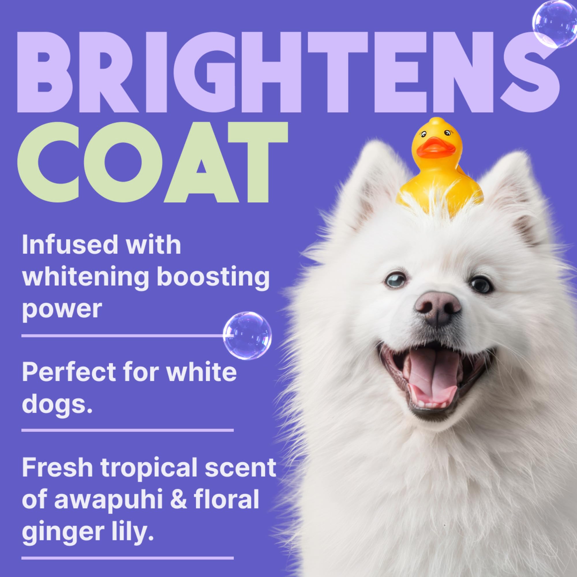 TropiClean Shampoo für Tiere - Med. Juckreizlinderung - Peelt, Befeuchtet & beruhigt trockene, juckende Haut & Fell I Für Hunde & Katzen I Parabens-, Farb- und Seifenfrei - Hafermehl & Teebaum, 3,78 L