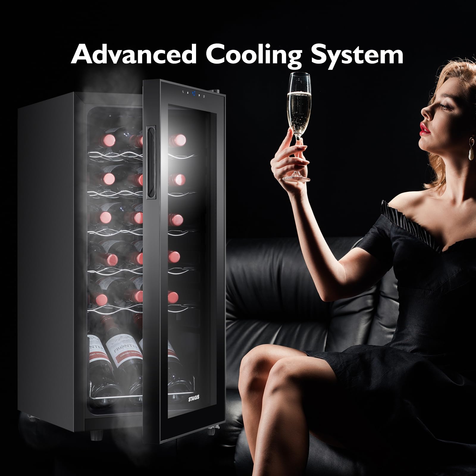 STAIGIS 24 Bottle Mini Fridge, Small Freestanding Wine Cooler Refrigerator for Red and White with 40-66F Digital Temperature Control Glass Door