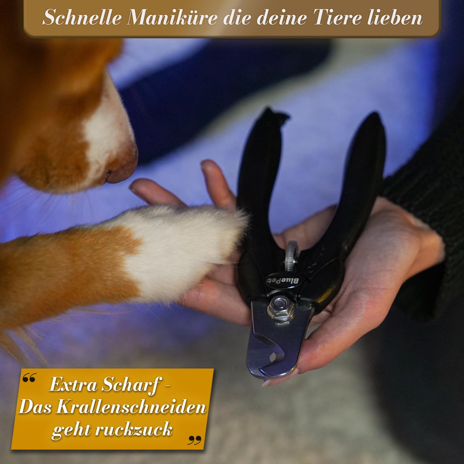BluePet Krallenschere mit Schutz für Hunde & Katzen I Einsteigerfreundlich I Krallenzange für kleine & große Krallen + Krallenfeile im Griff - Alternative zu Nagelschere & Krallenschleifer